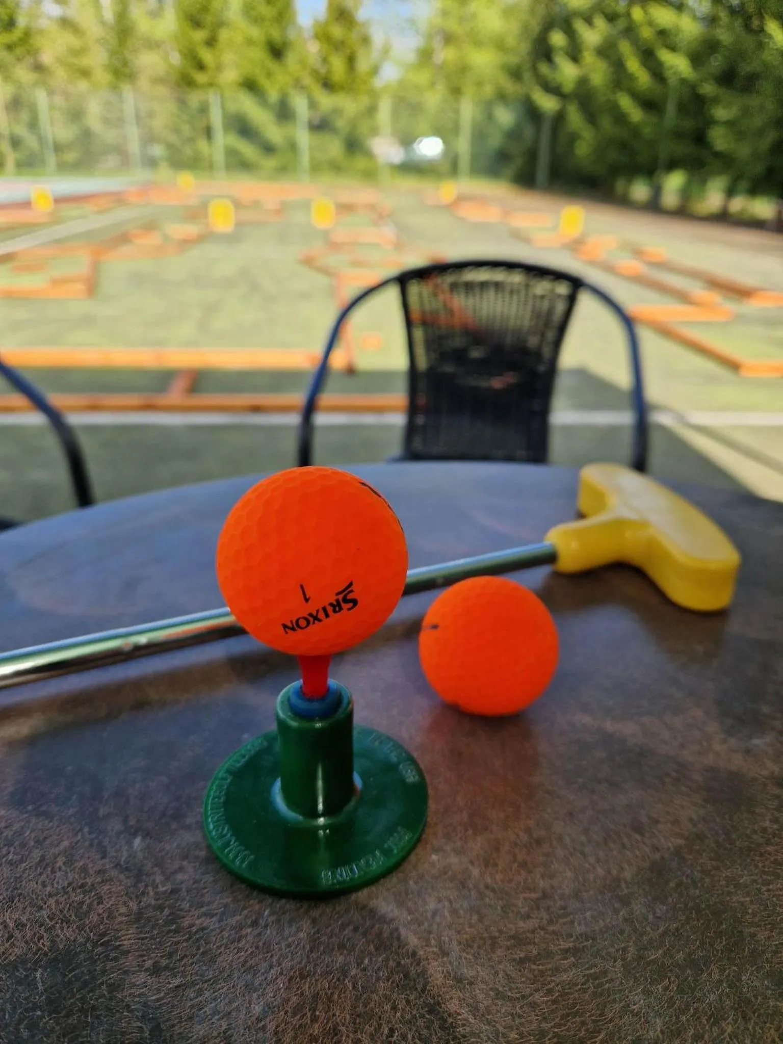 Minigolf in Nykščio Namai & SPA