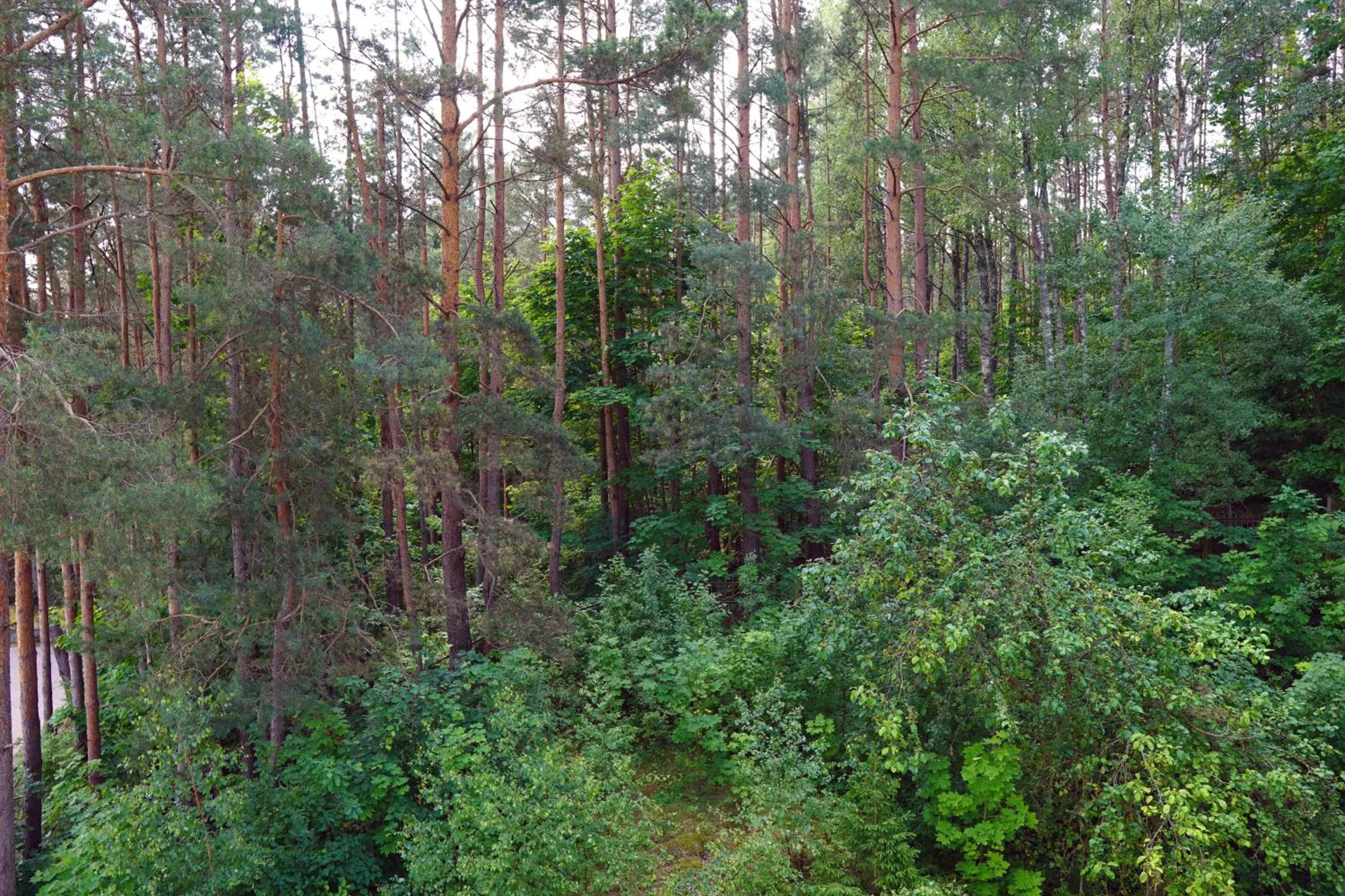 View (from property/room) in Nykščio Namai & SPA