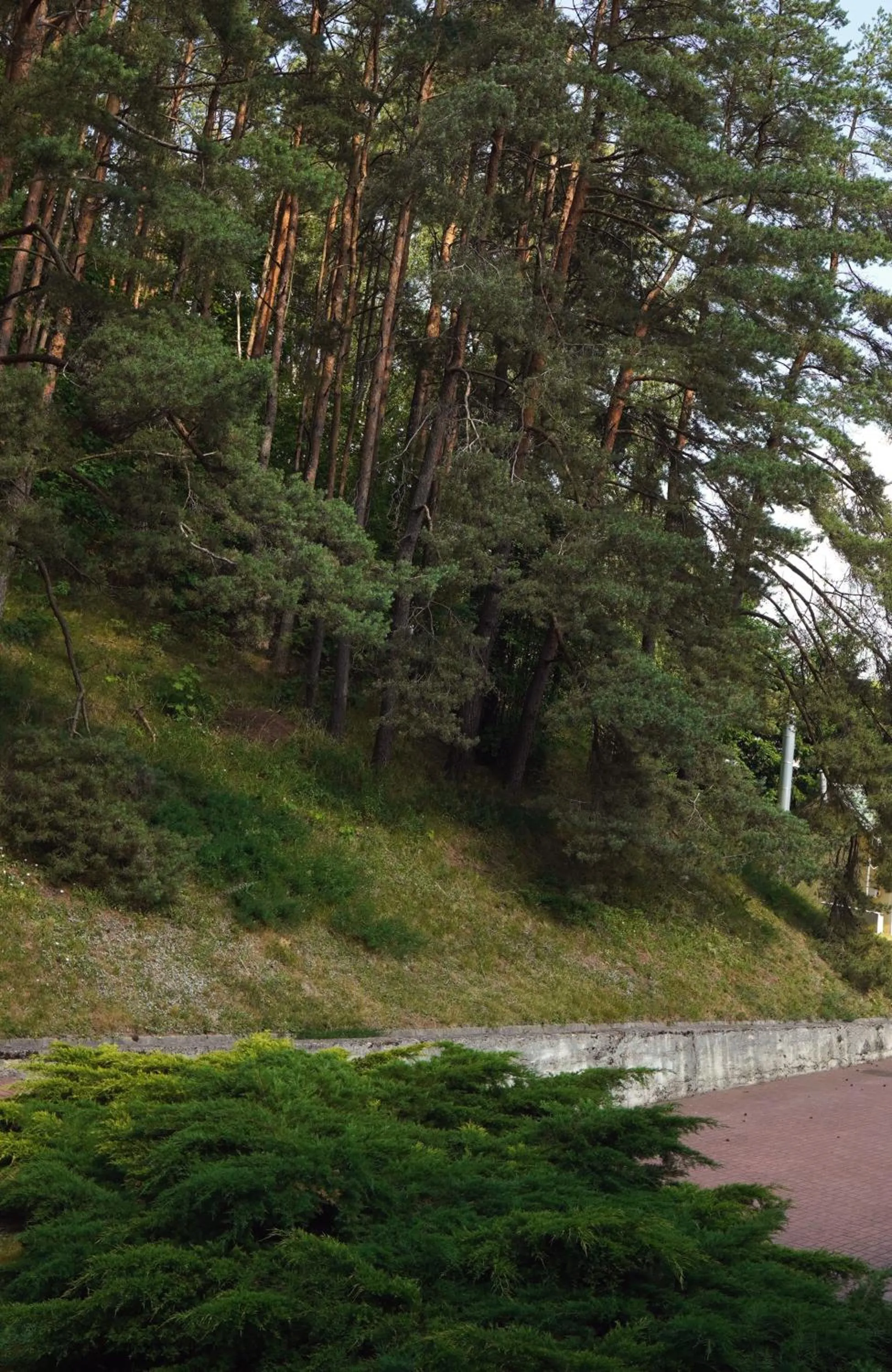 View (from property/room) in Nykščio Namai & SPA