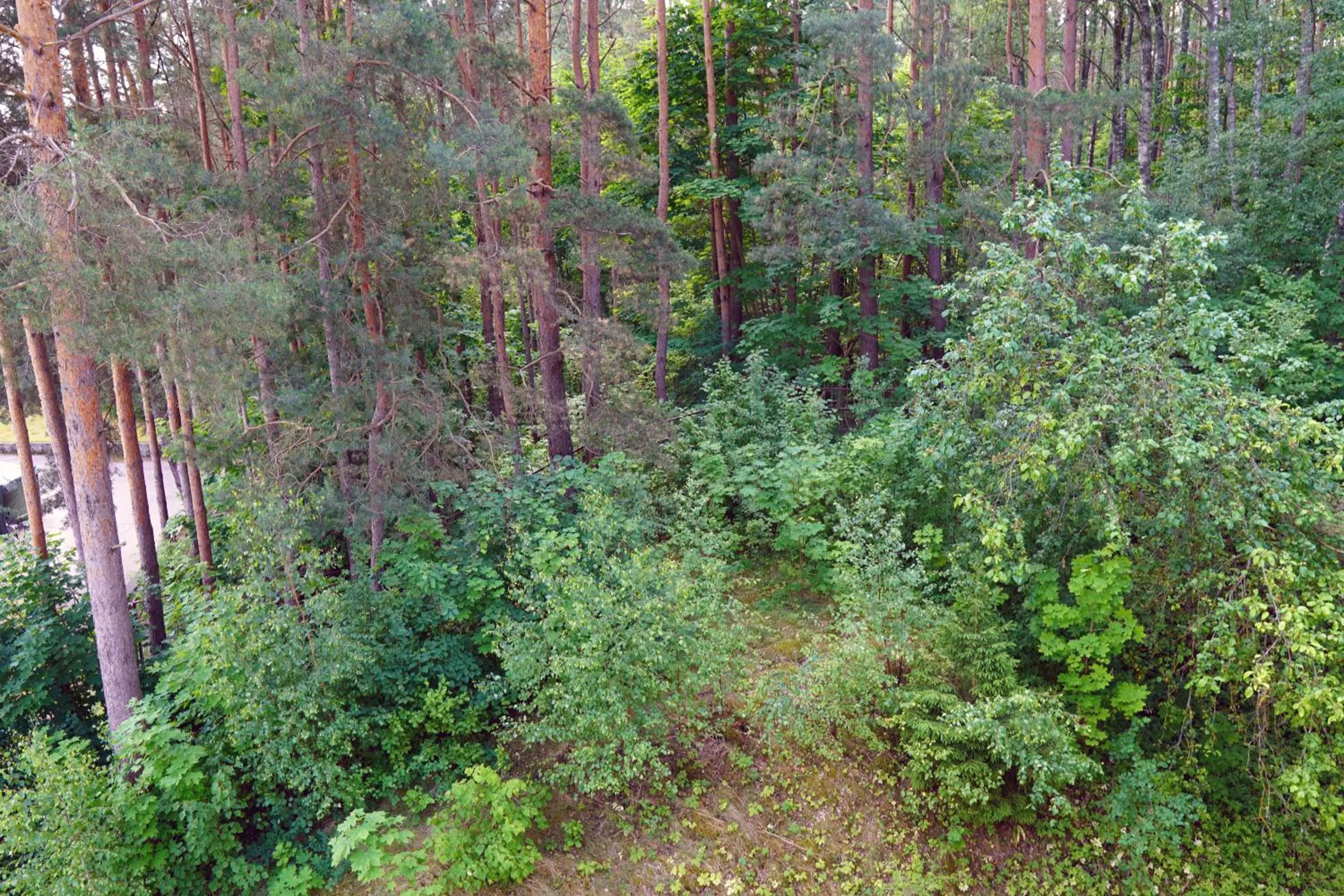 Day in Nykščio Namai & SPA