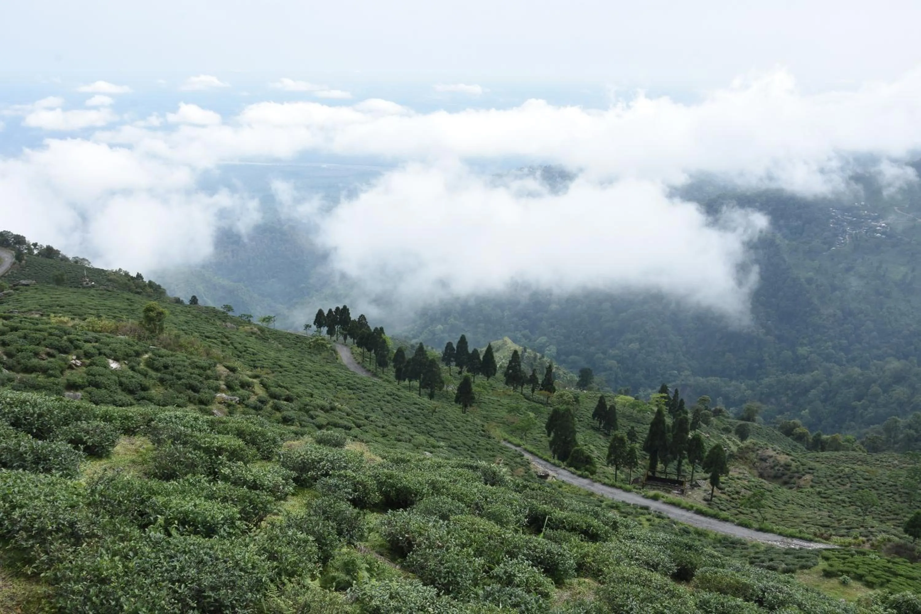 Other in Nirvana Retreat