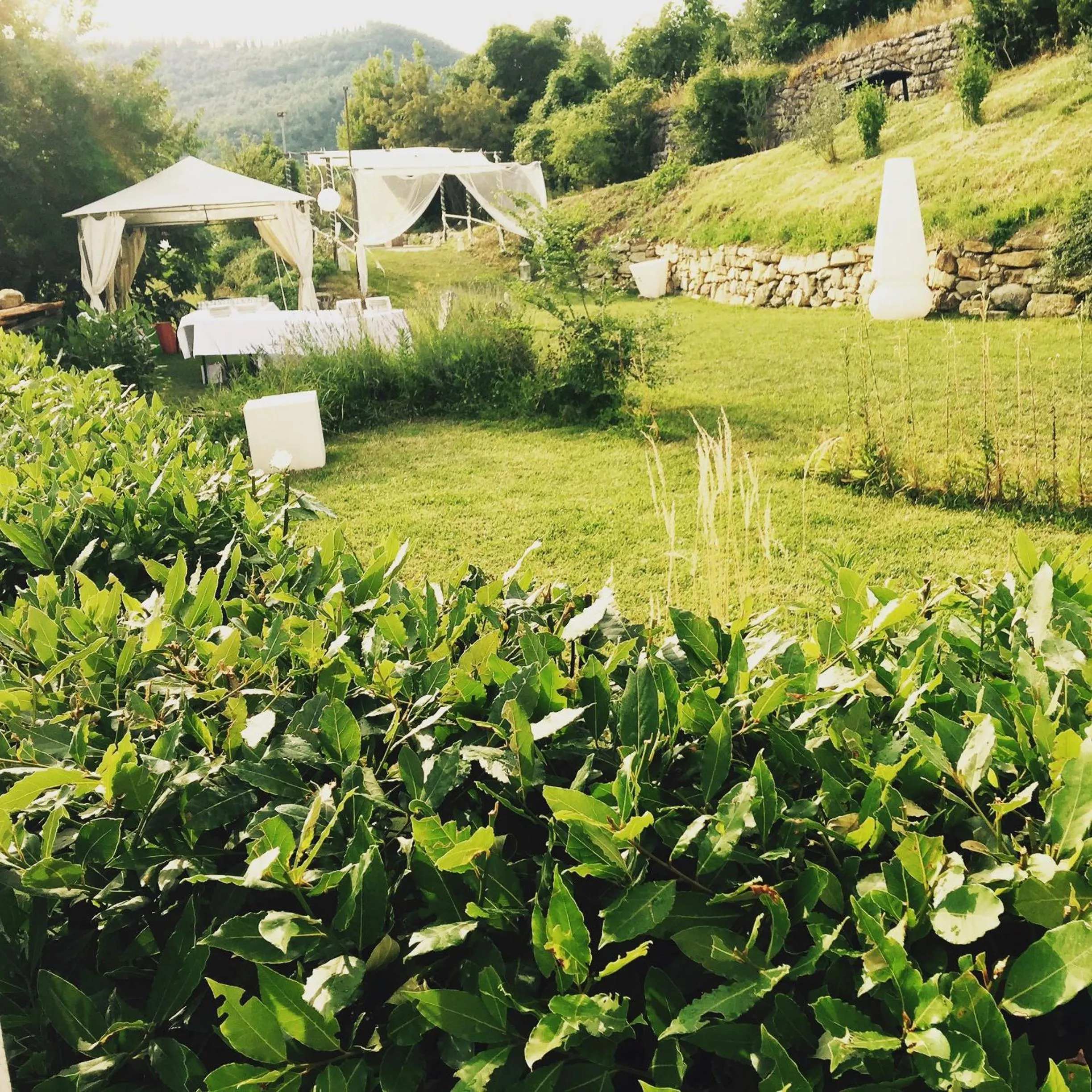 Garden in Tenuta dei Cavalieri
