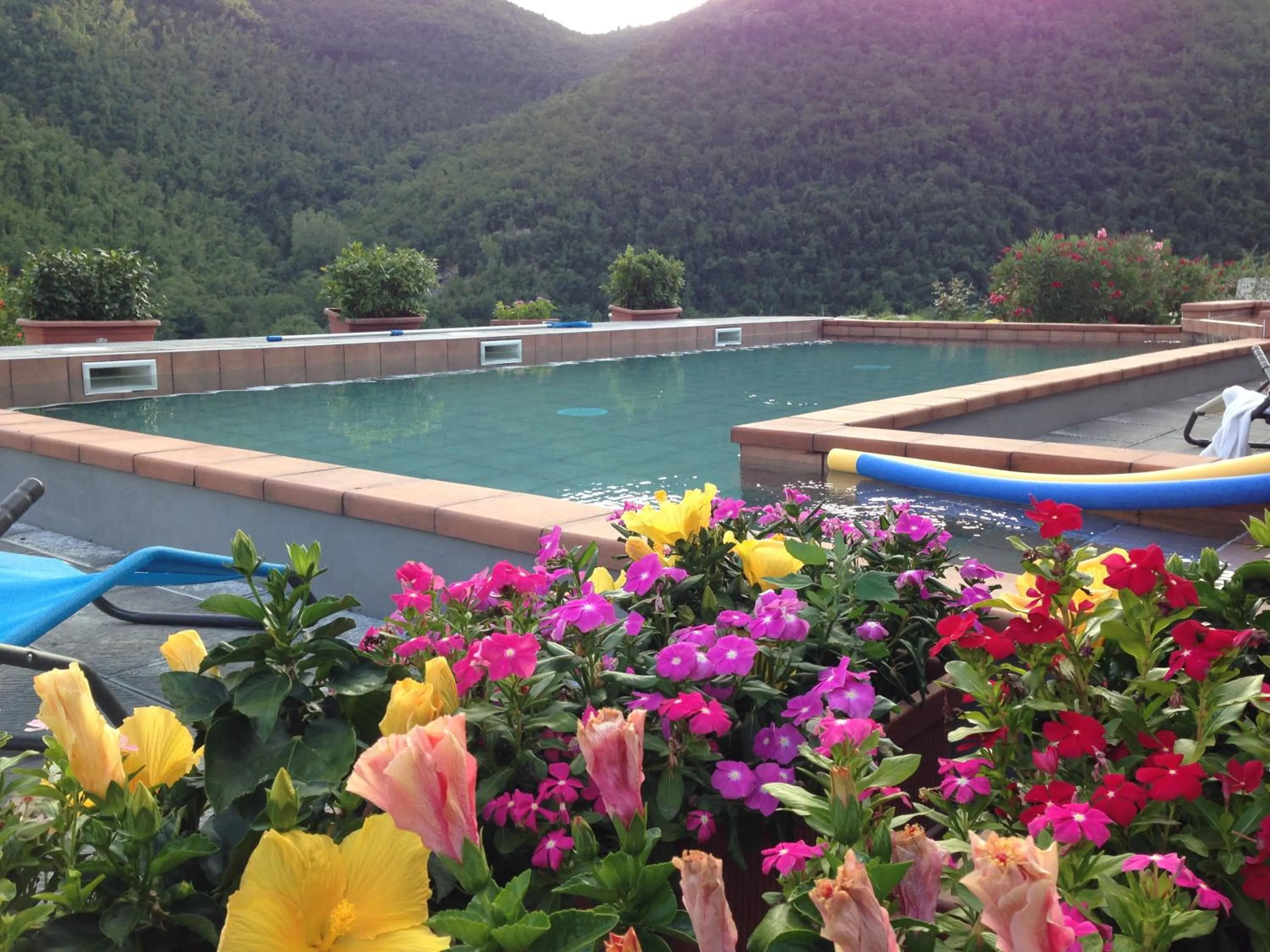 Pool view in Tenuta dei Cavalieri