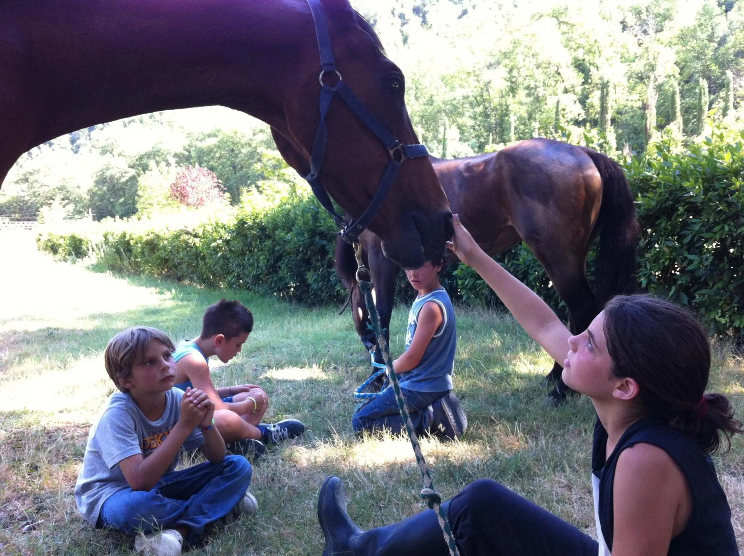 Horse-riding in Tenuta dei Cavalieri