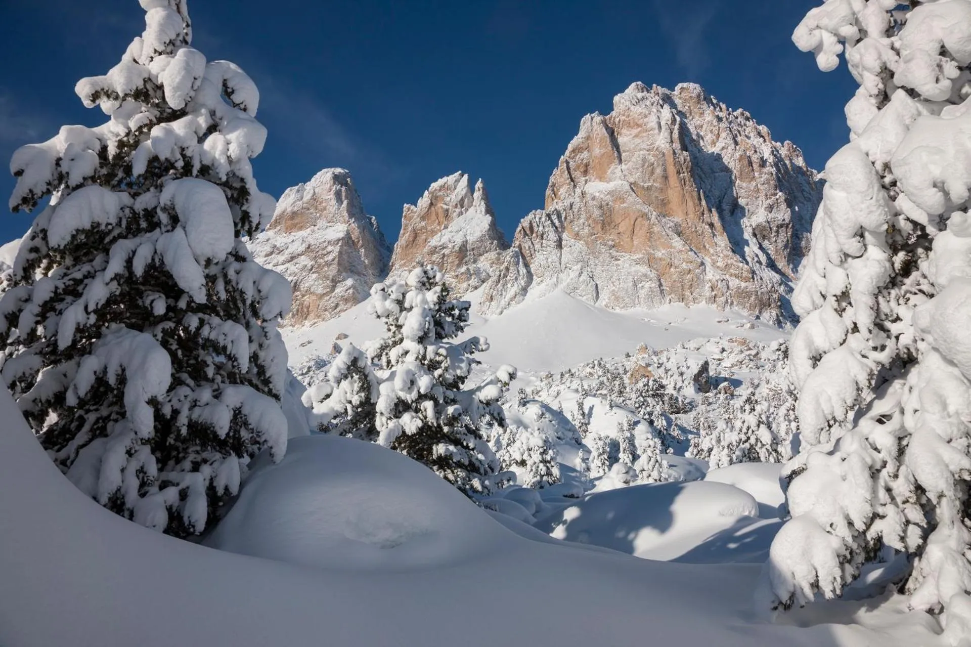 Natural landscape in Hotel Chalet Sas Morin