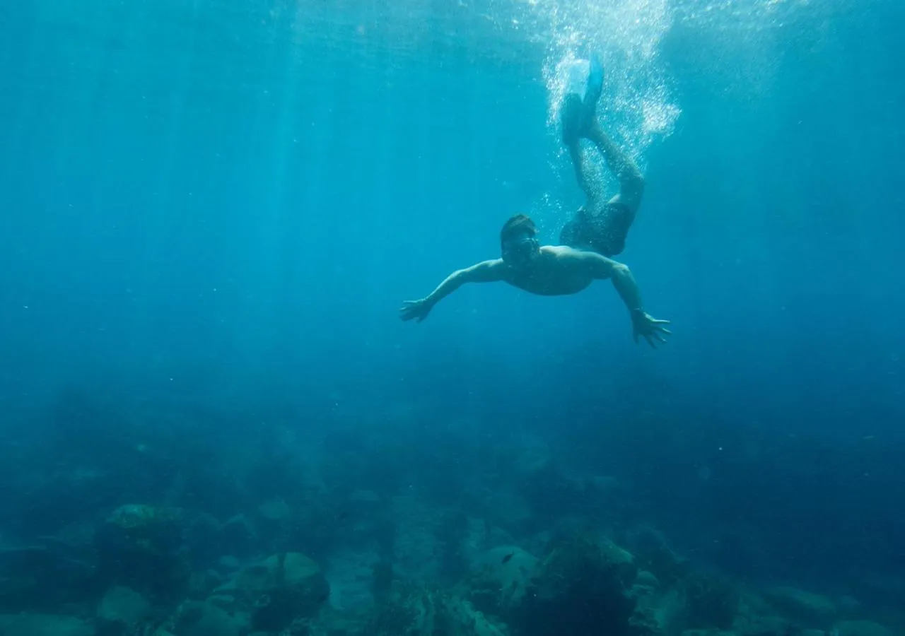 Activities in Langley Resort Fort Royal