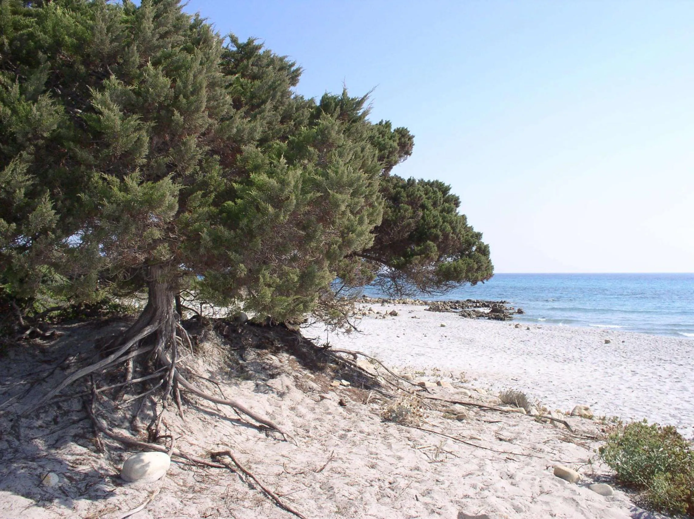Area and facilities in Residence Marina Palace