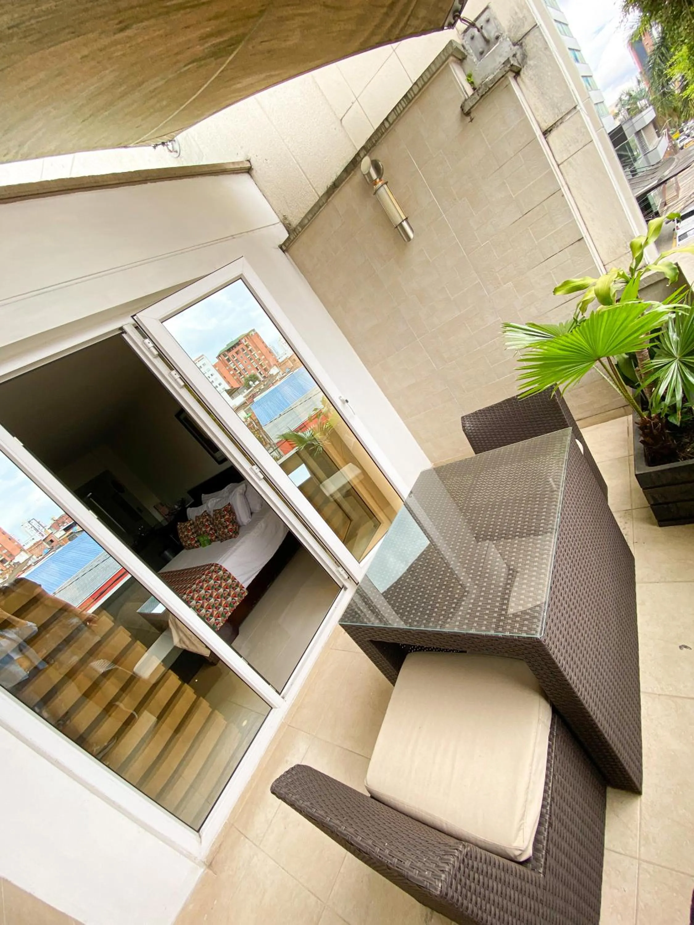 Area and facilities in Hotel Buena Vista