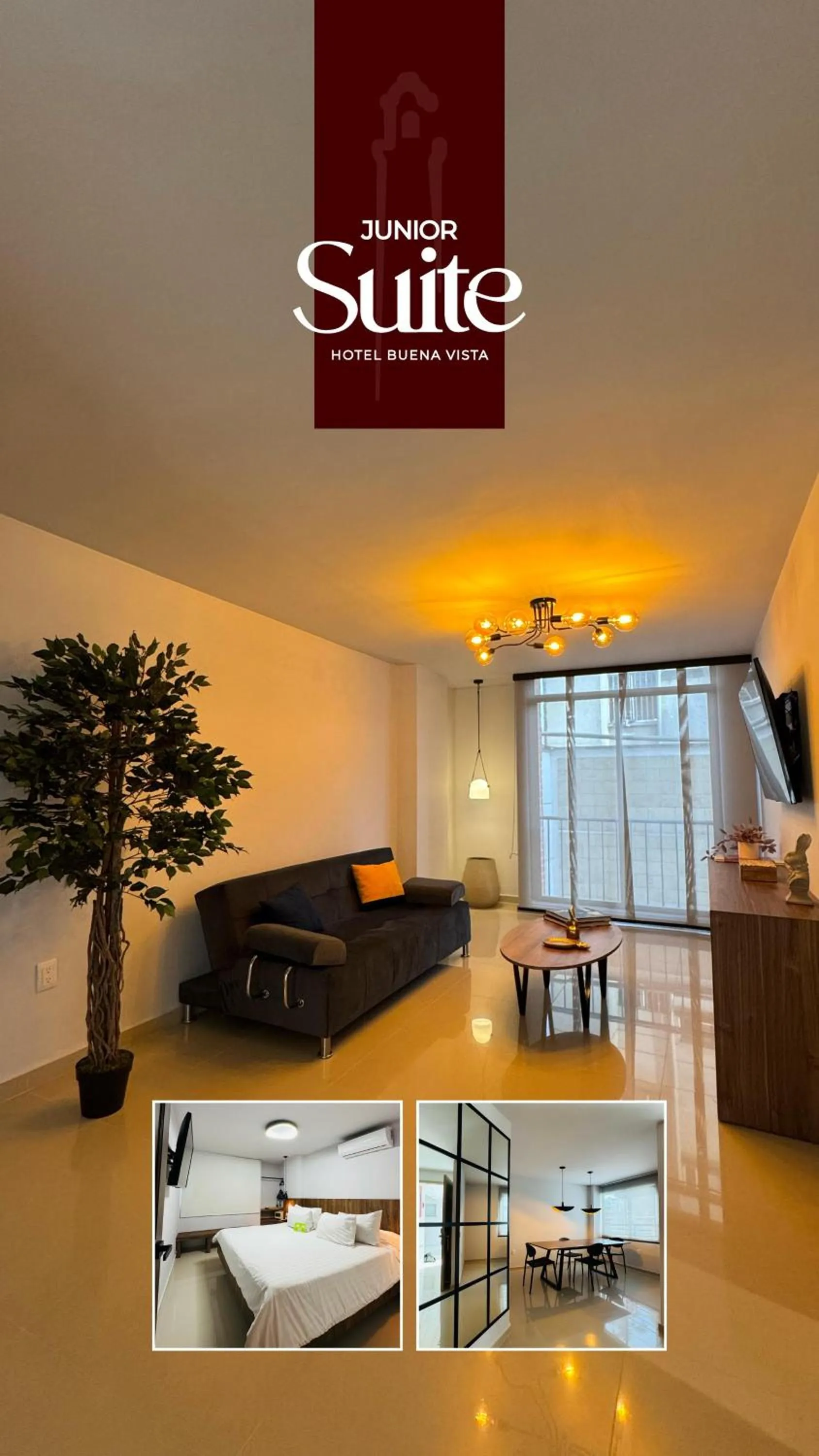 TV and multimedia in Hotel Buena Vista