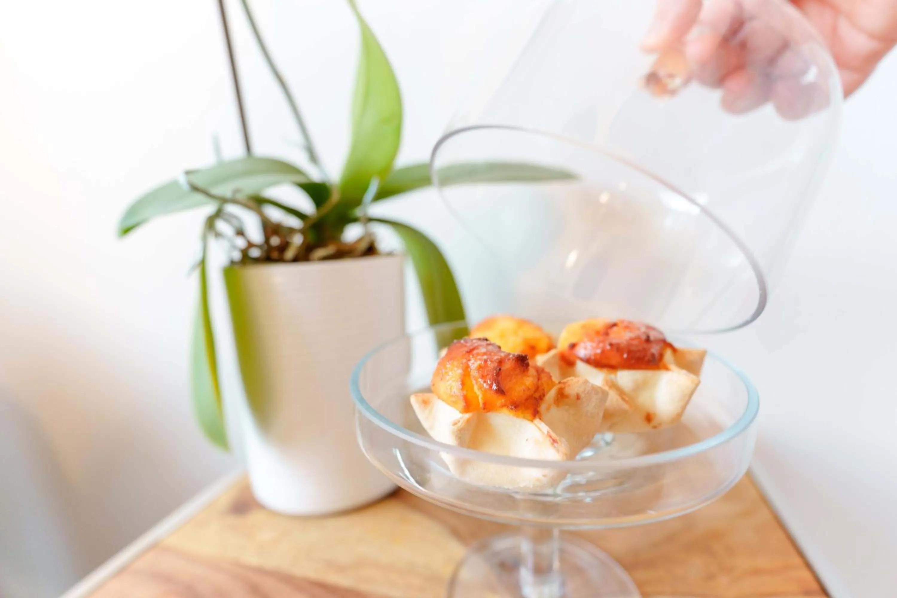 Montellinos Suite Tortora