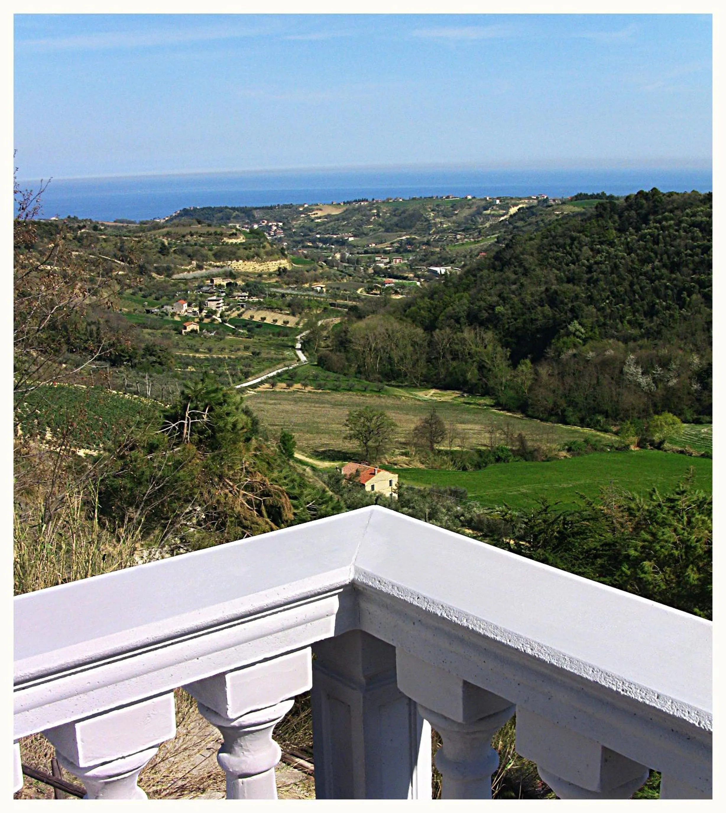 View (from property/room) in Il Corbezzolo
