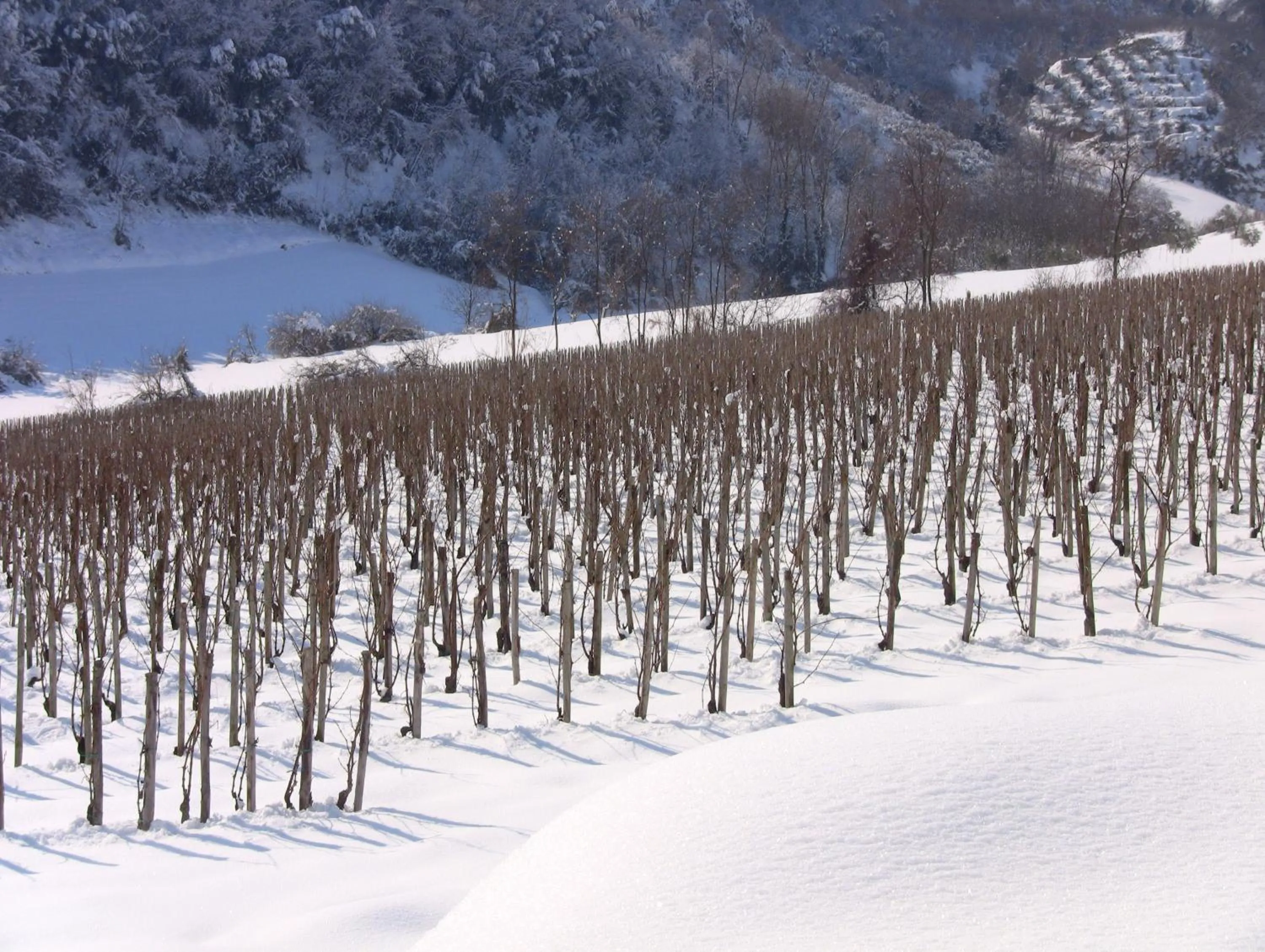 Area and facilities in Il Corbezzolo