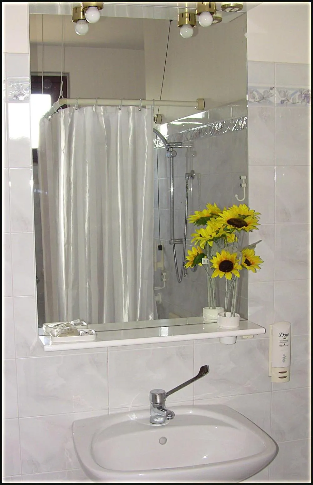 Toilet in Il Corbezzolo