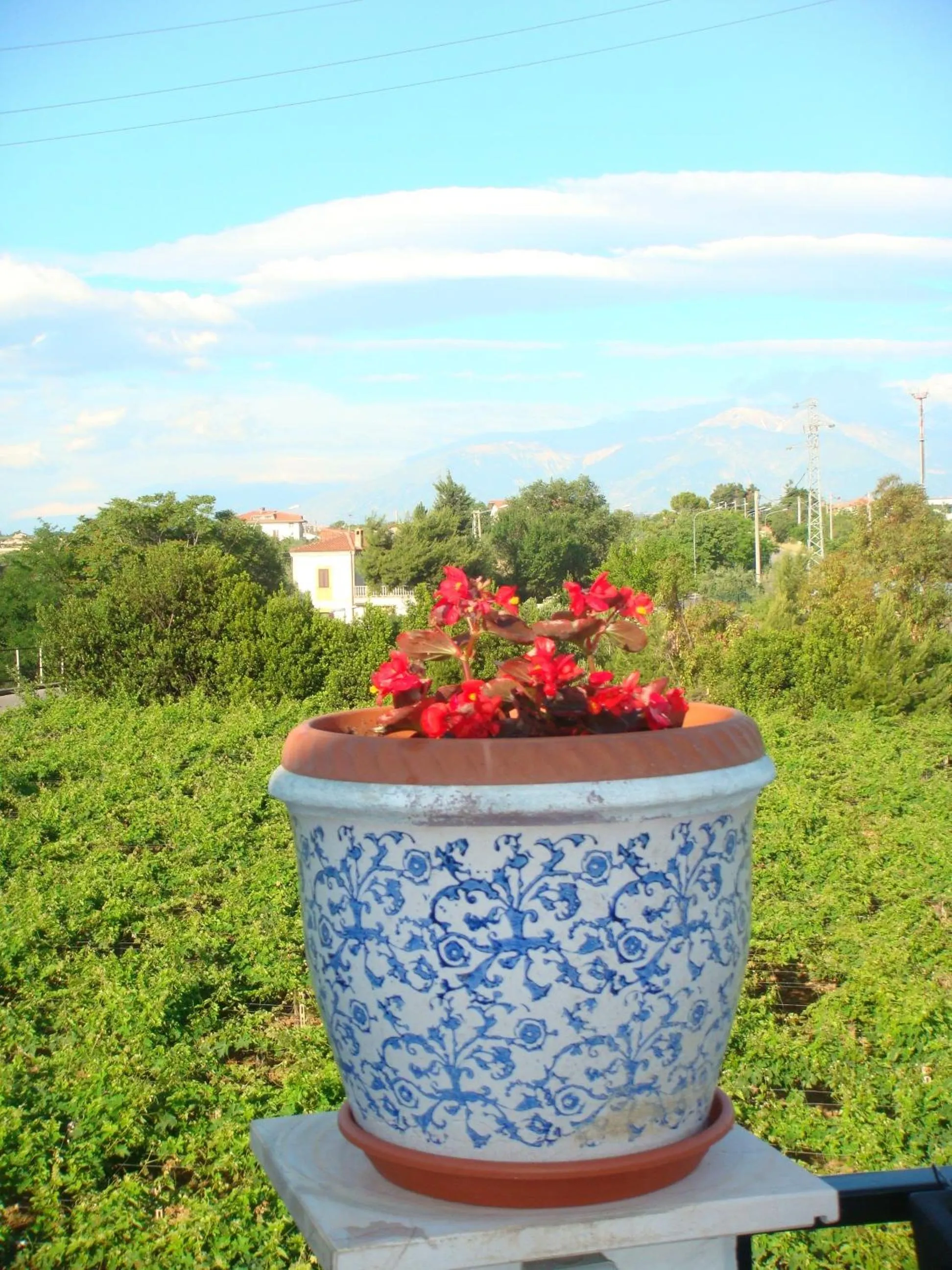 Decorative detail in B&B Costa D'Abruzzo