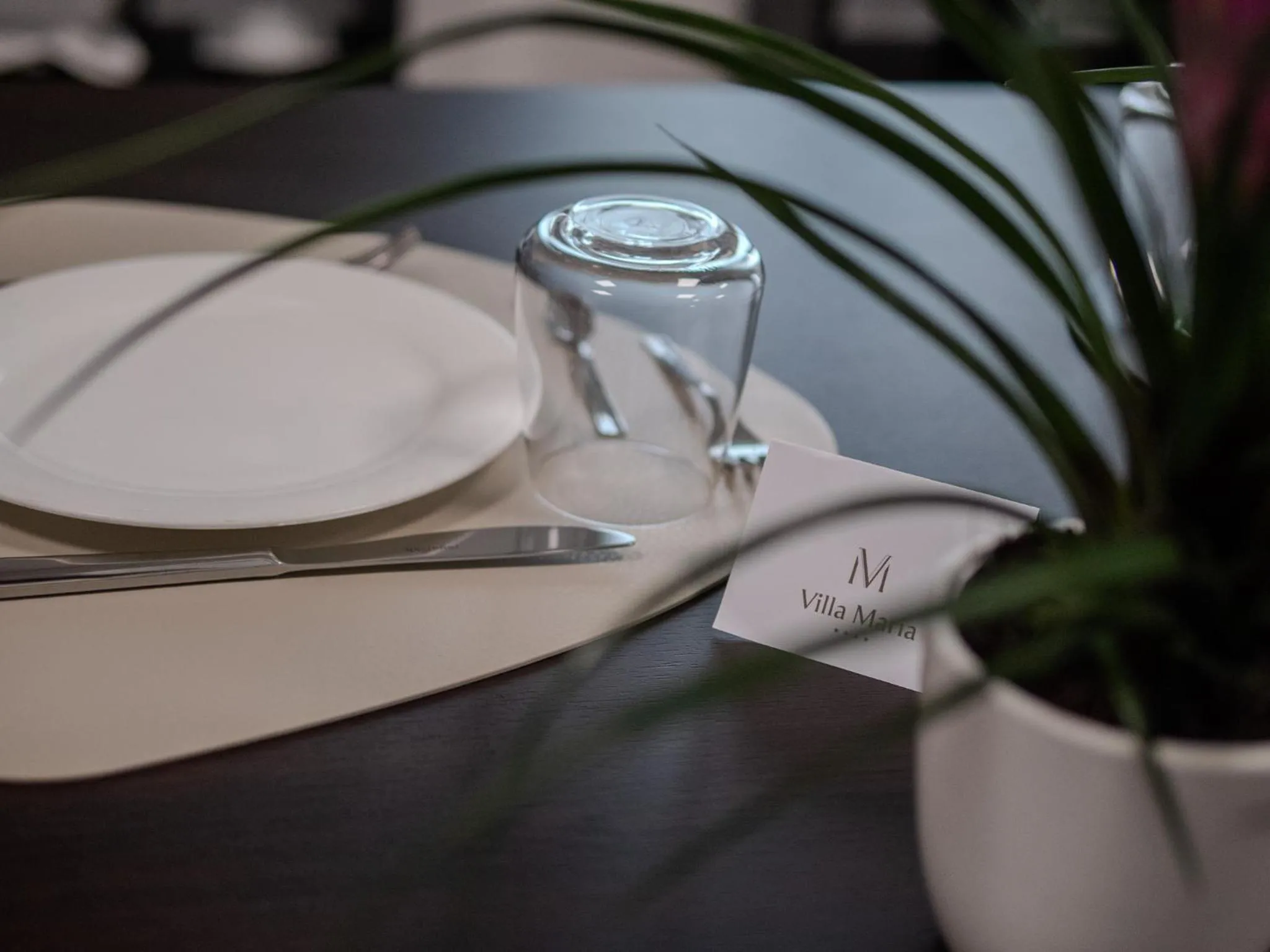 Restaurant/places to eat in Hotel Villa Maria