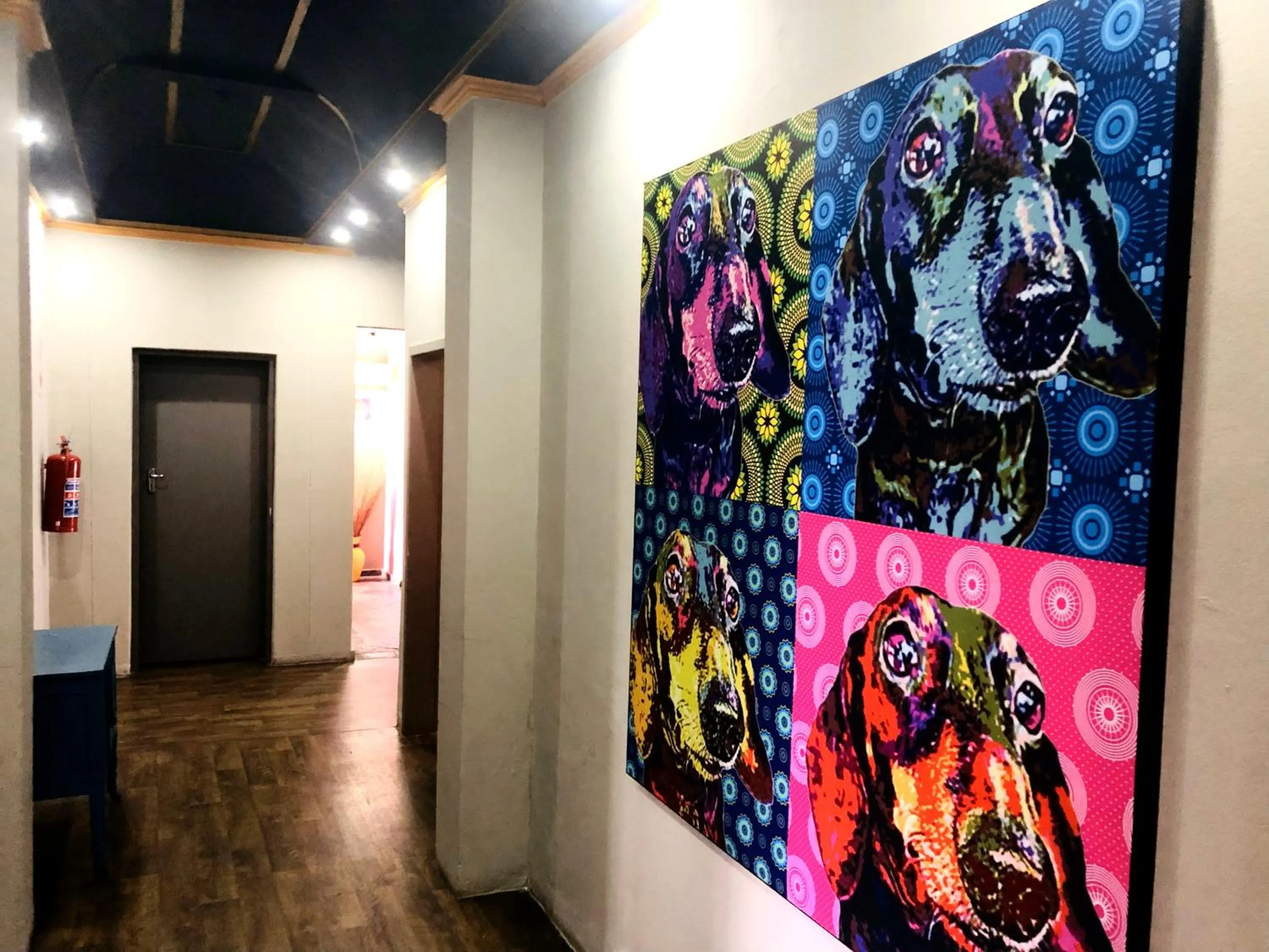 Property building in Elephant Springs