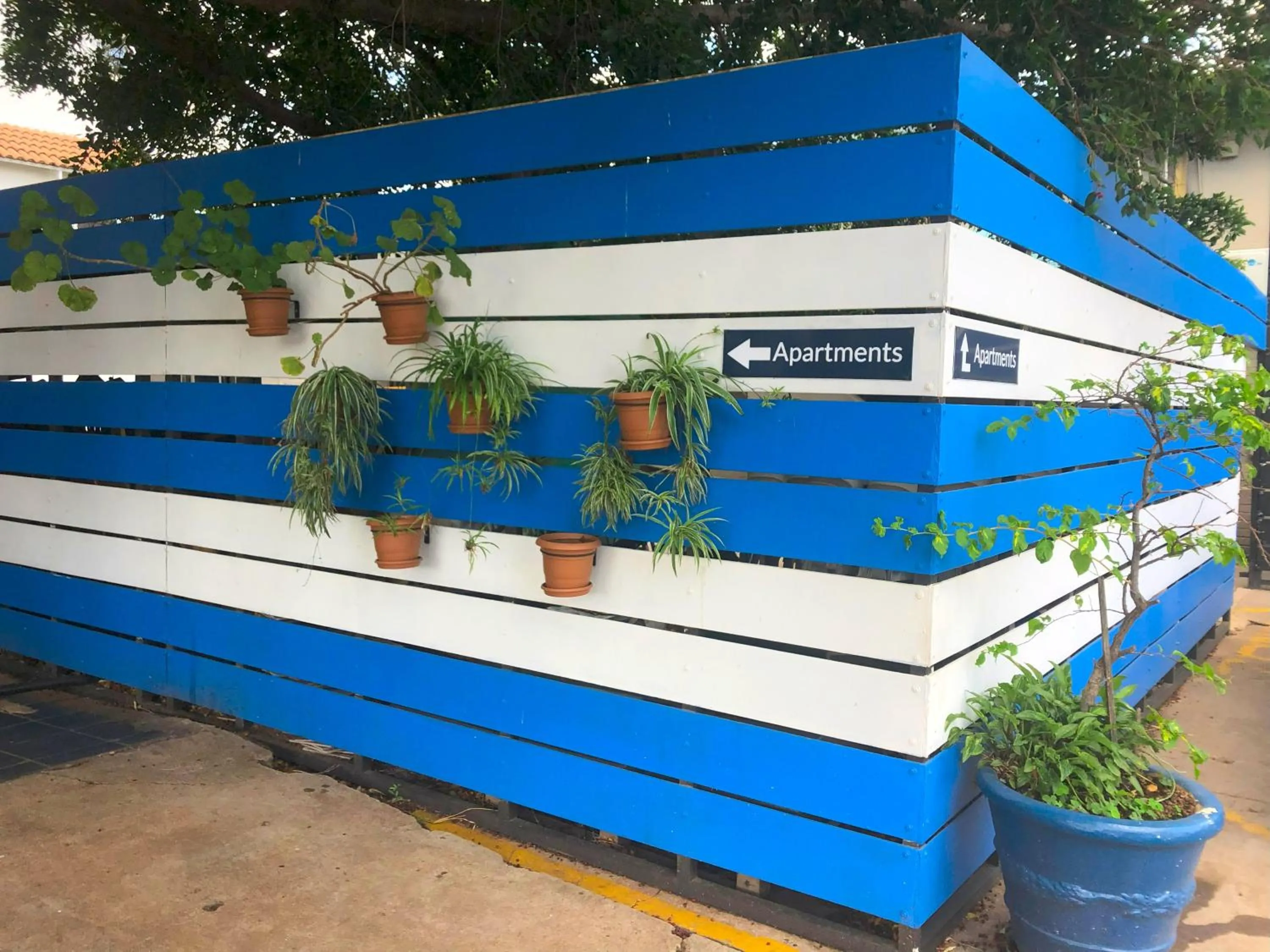 Property building in Elephant Springs