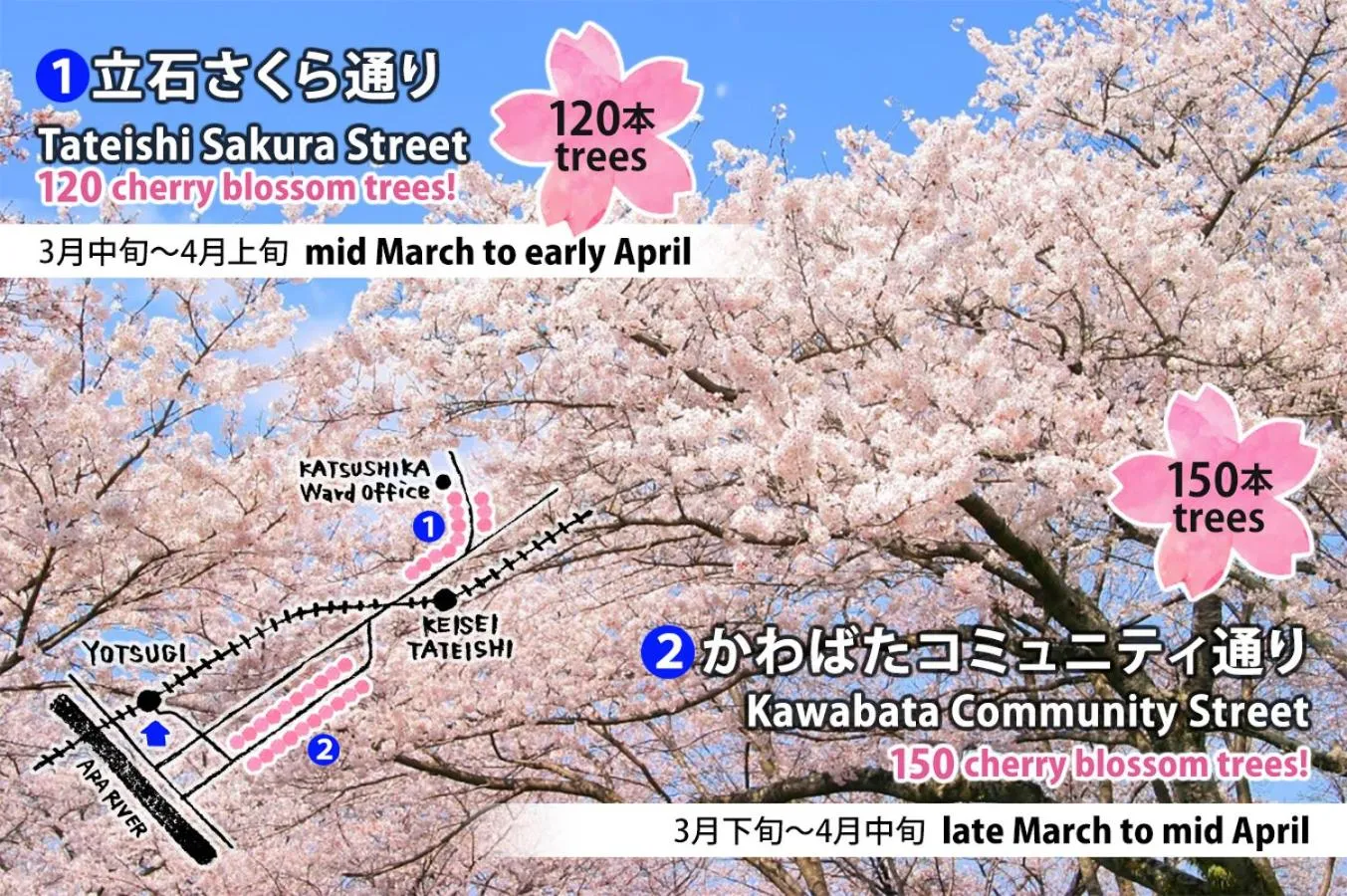 Spring in ASAKUSA EAST Terrace - KANDO