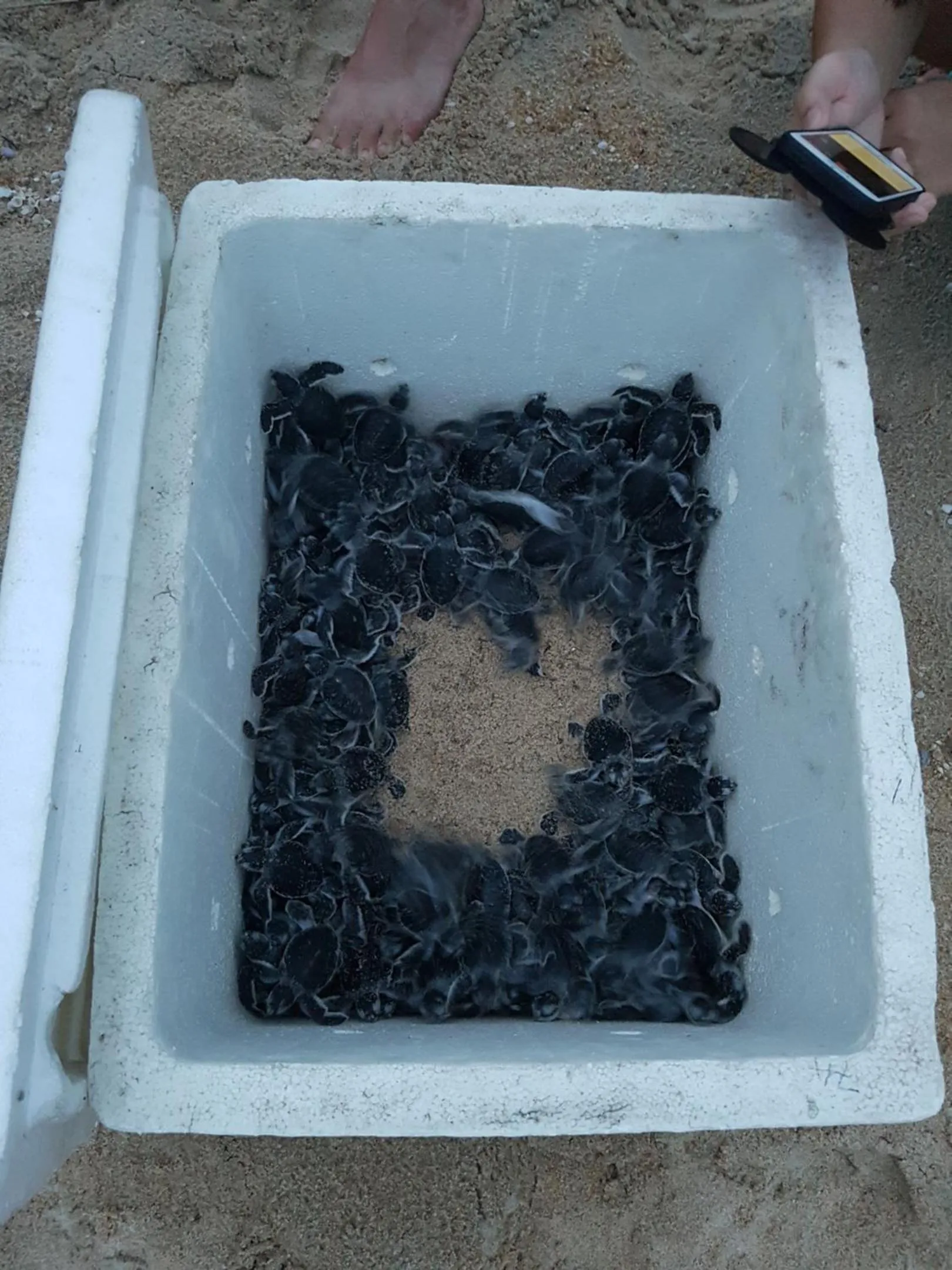 Pandan Laut Beach Resort