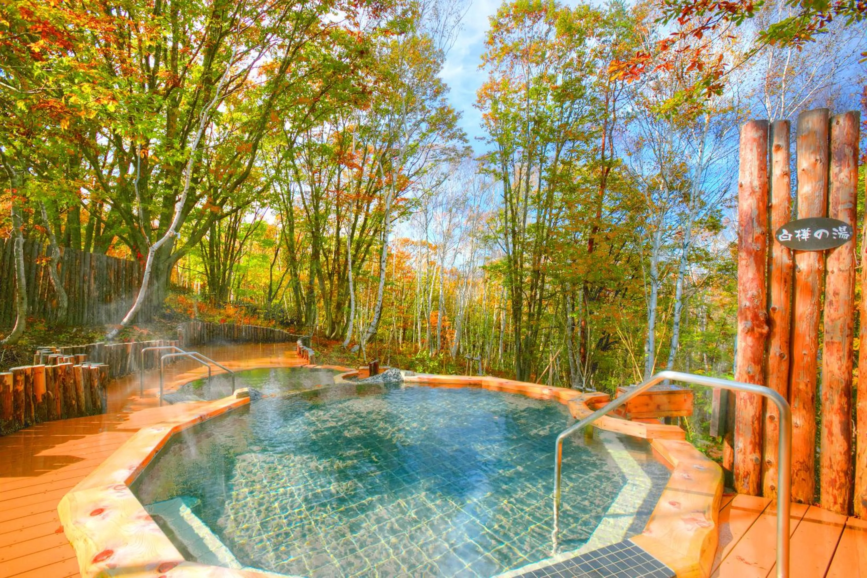 Hot Spring Bath in Minakami Kogen Hotel 200