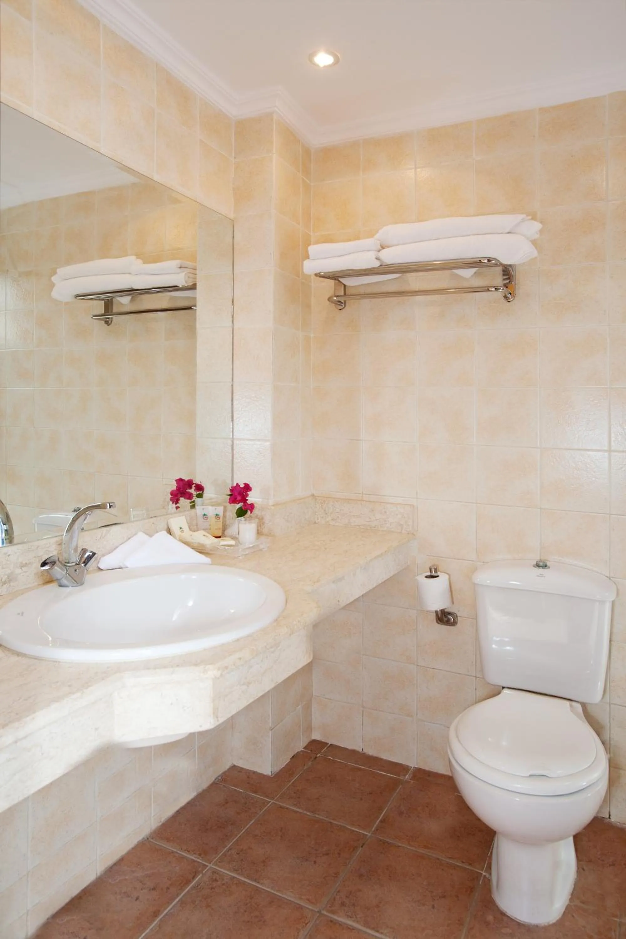 Bathroom in Ganet Sinai Resort