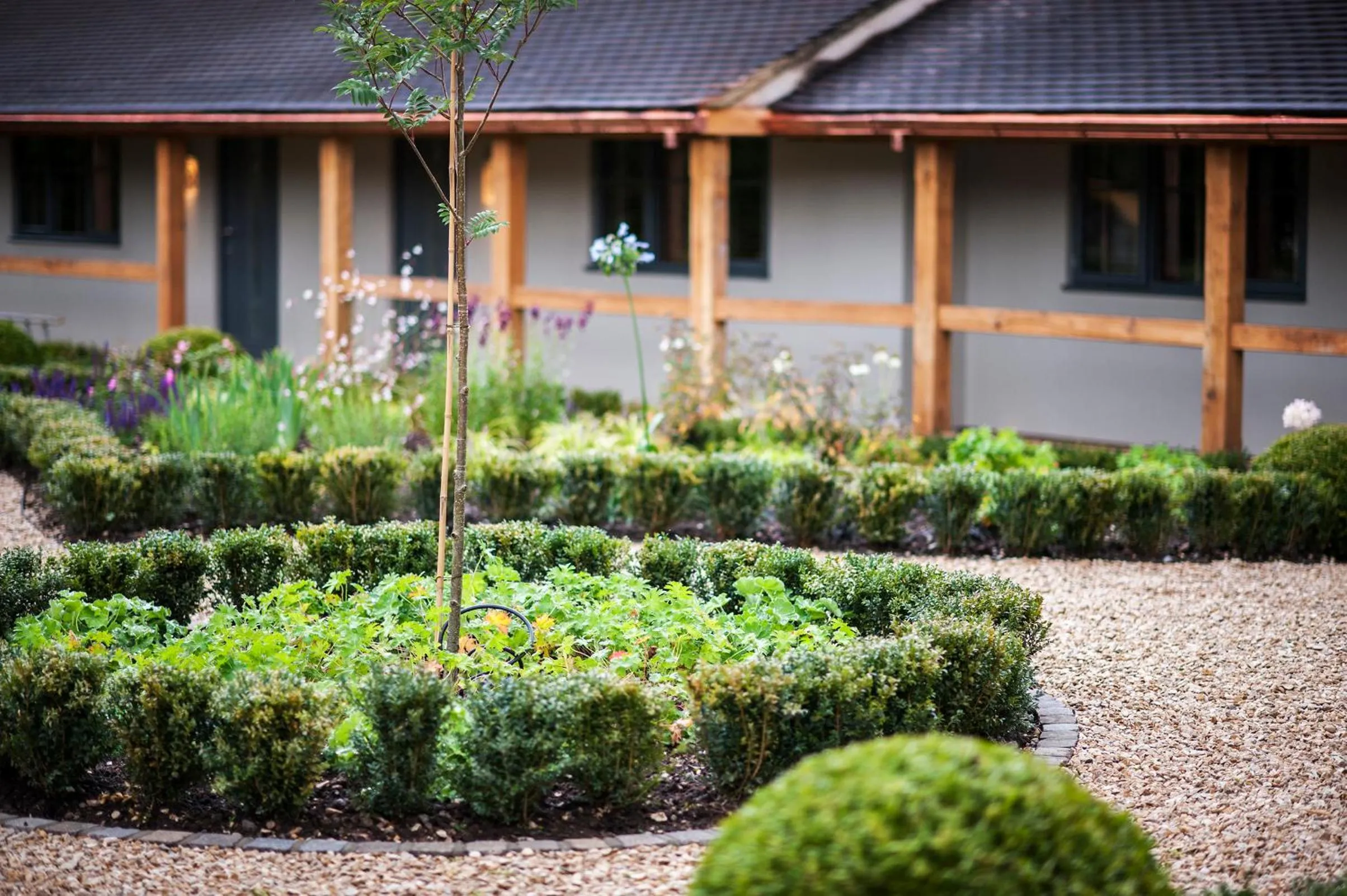 Property building in Crown and Garter