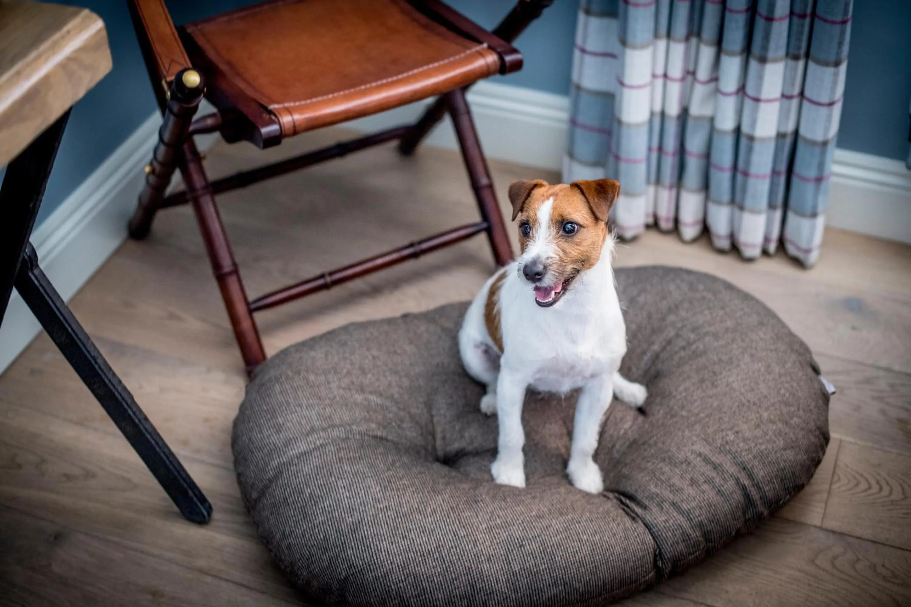 Property building in Crown and Garter