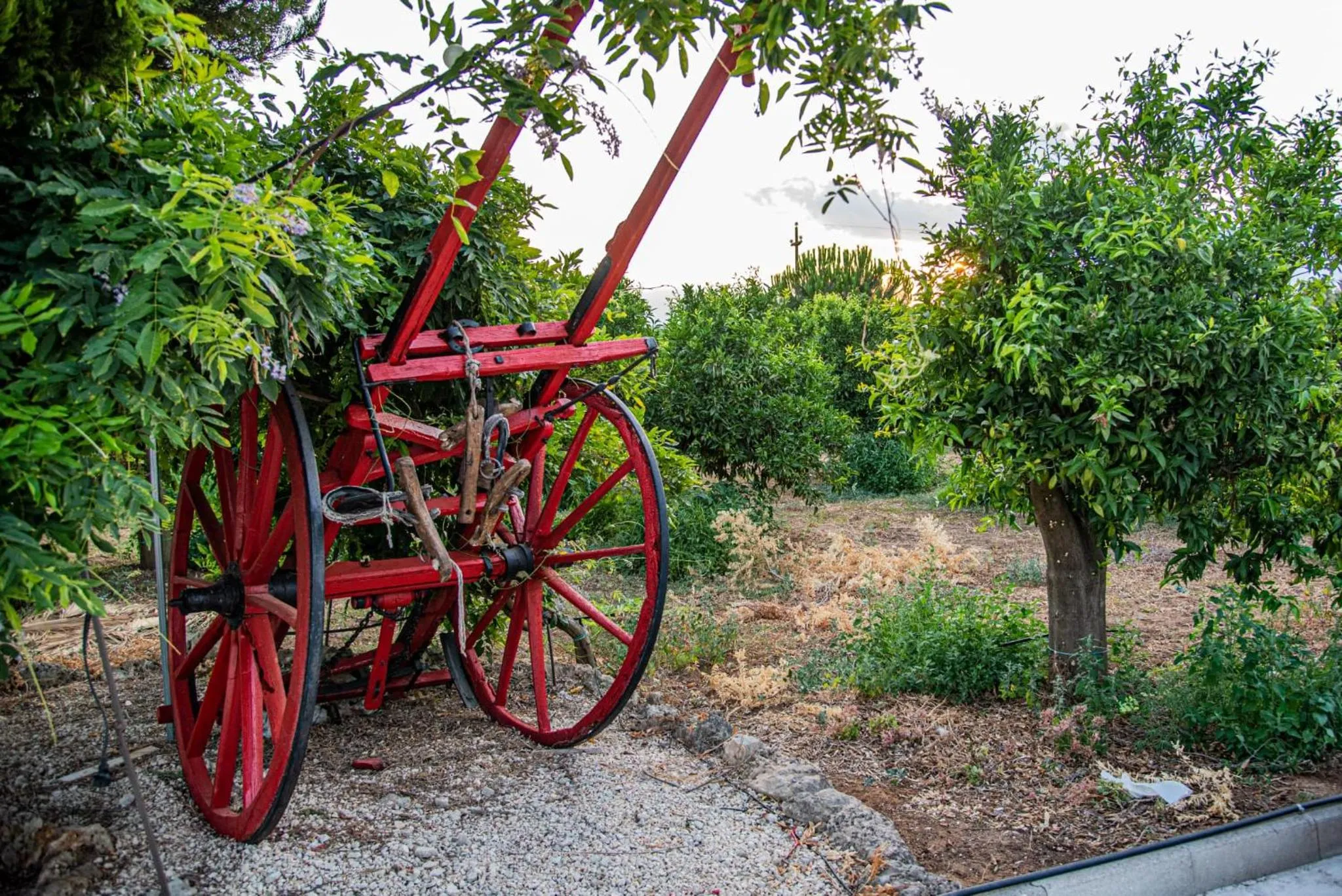 B&B Giardino Isabella