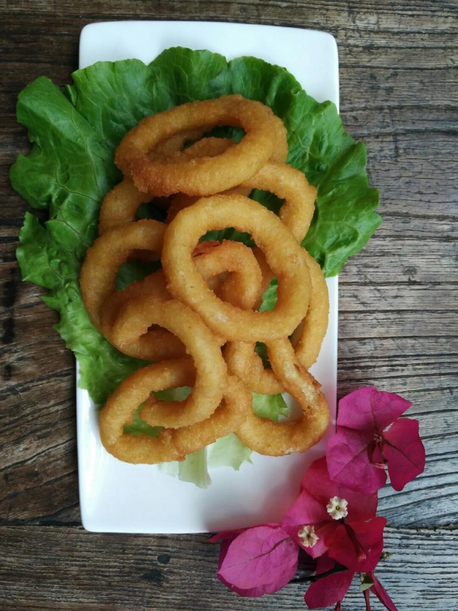 Food and drinks in Nova Traveller's Lodge