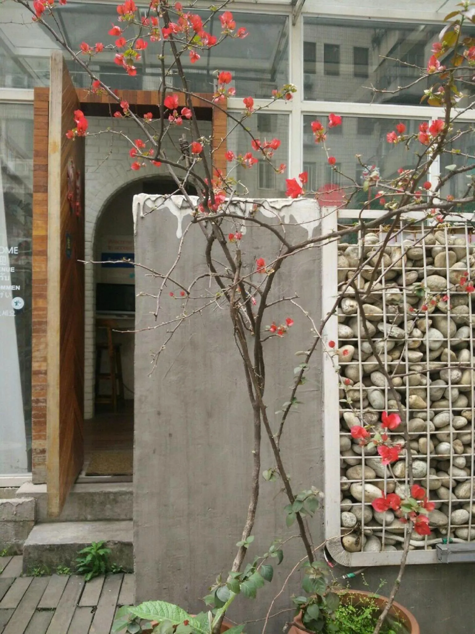 On site in Nova Traveller's Lodge