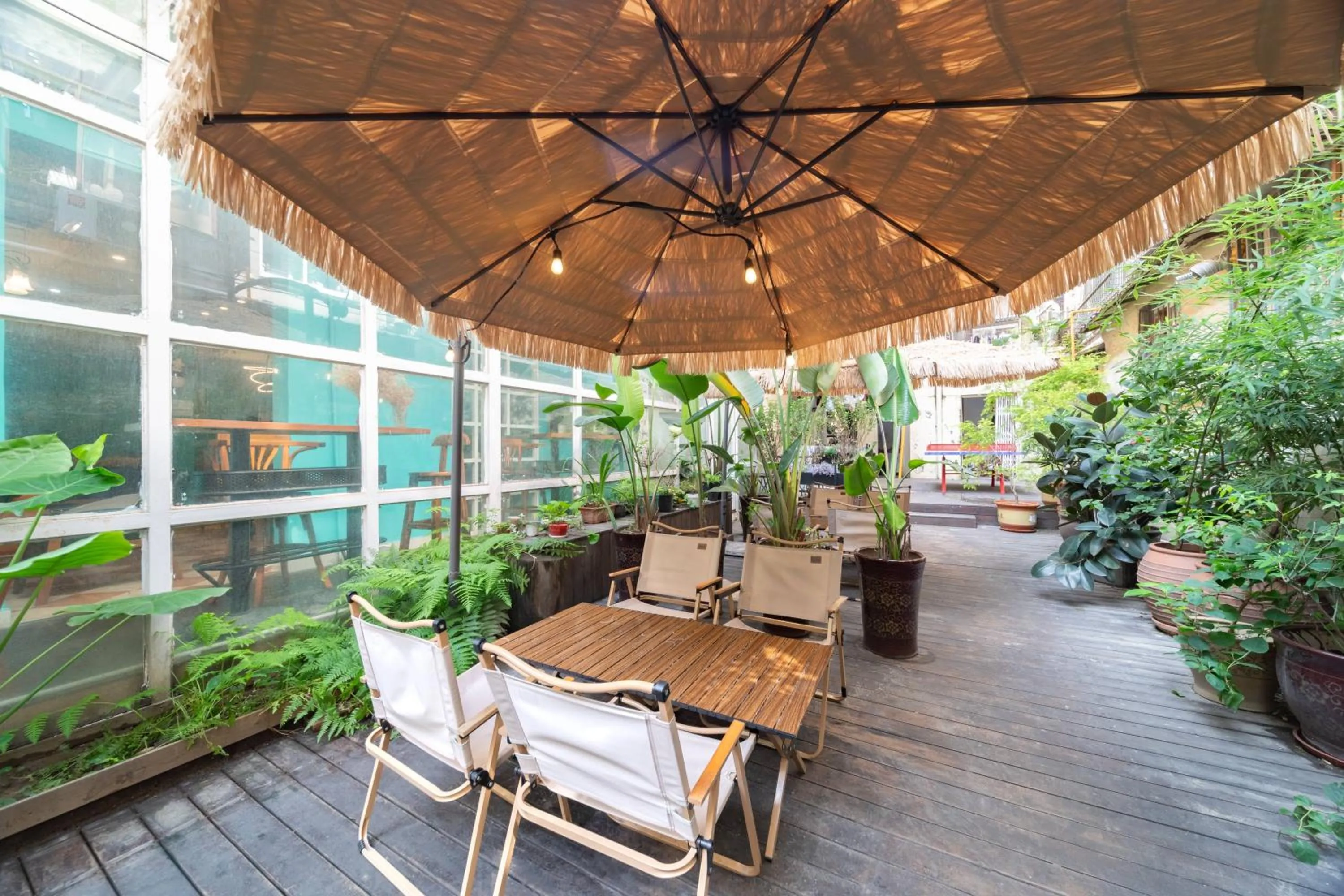 Garden in Nova Traveller's Lodge