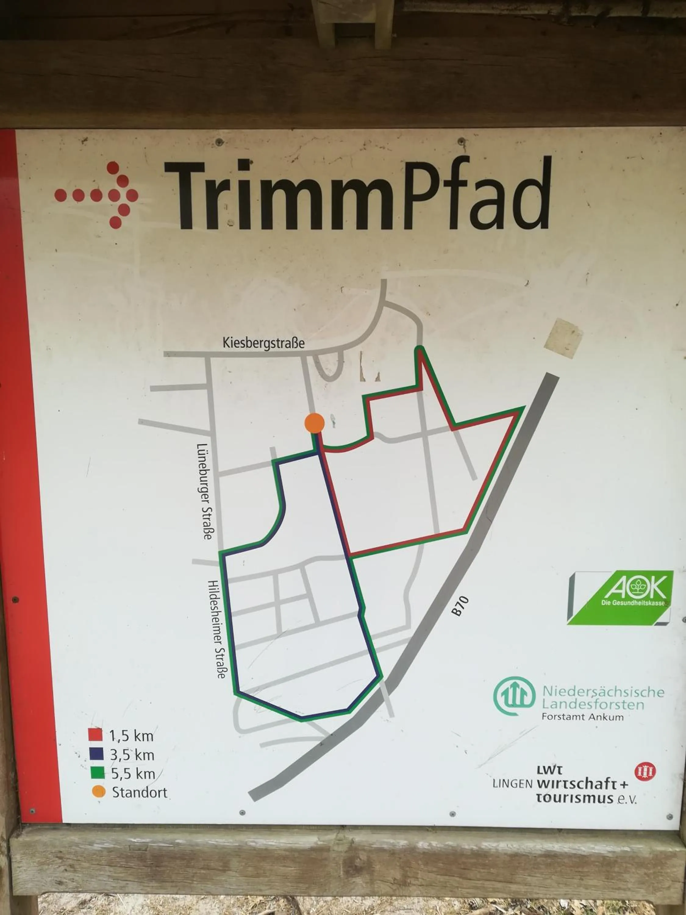 Hiking in Hotel Zum Märchenwald