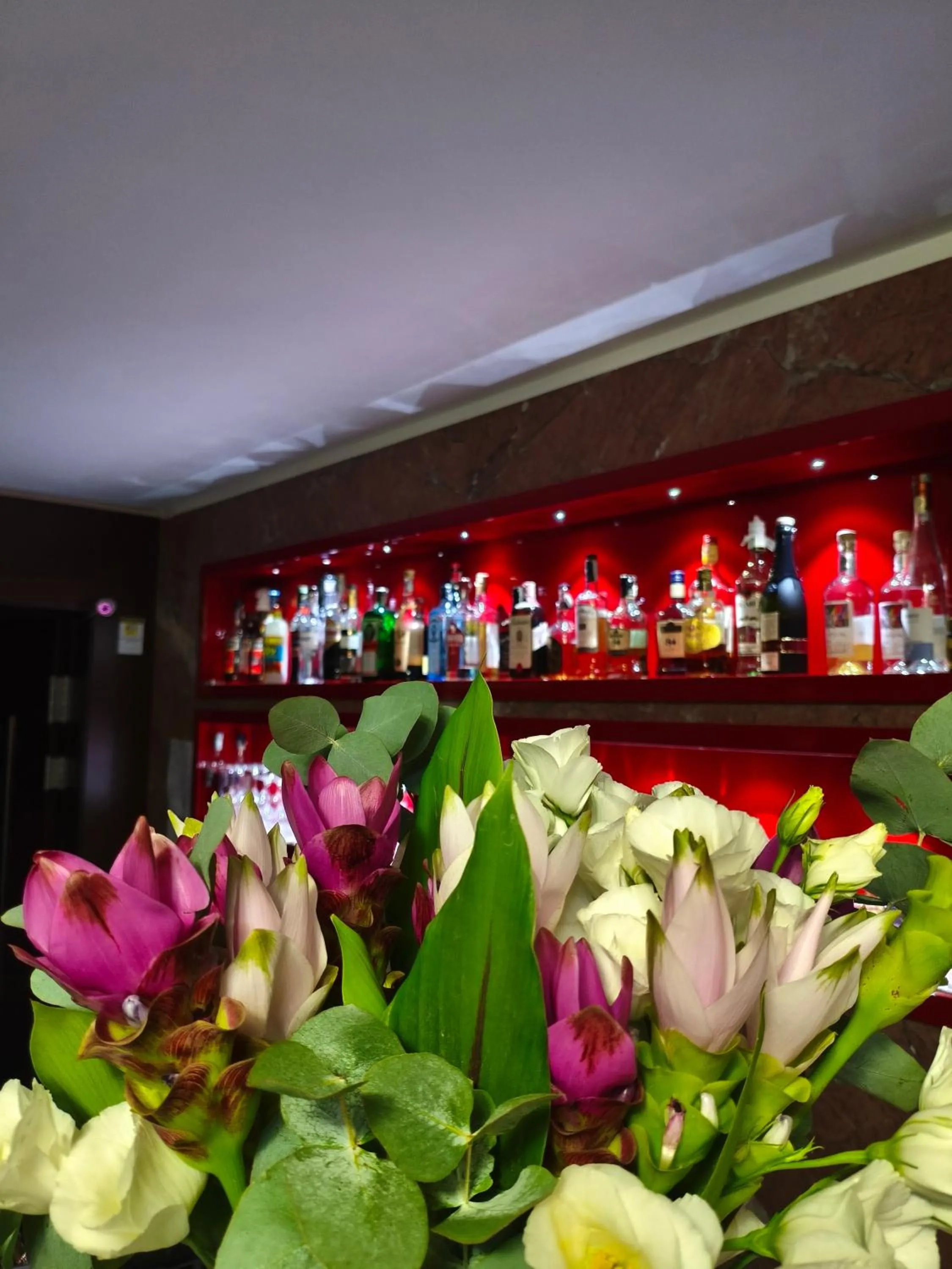Lounge or bar in Hotel Ansharius - Adults only