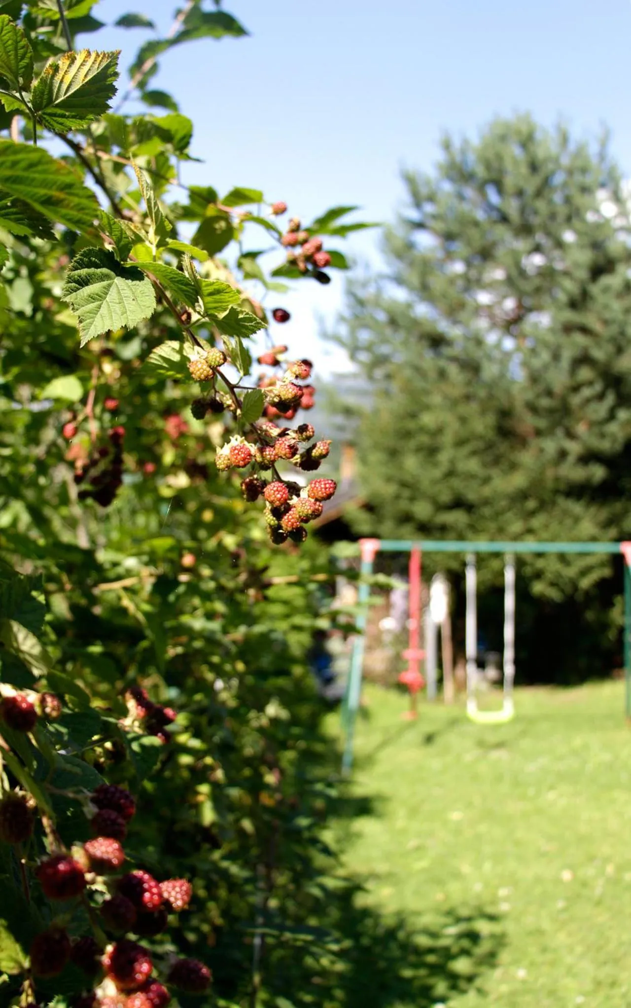 Children play ground in Aparthotel Pan Haus