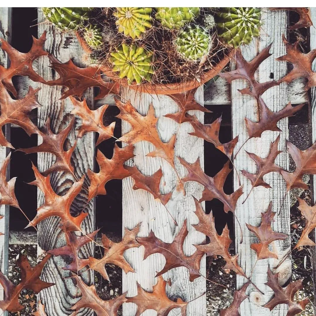 Casa do Fundo - Sustainable & Ecotourism