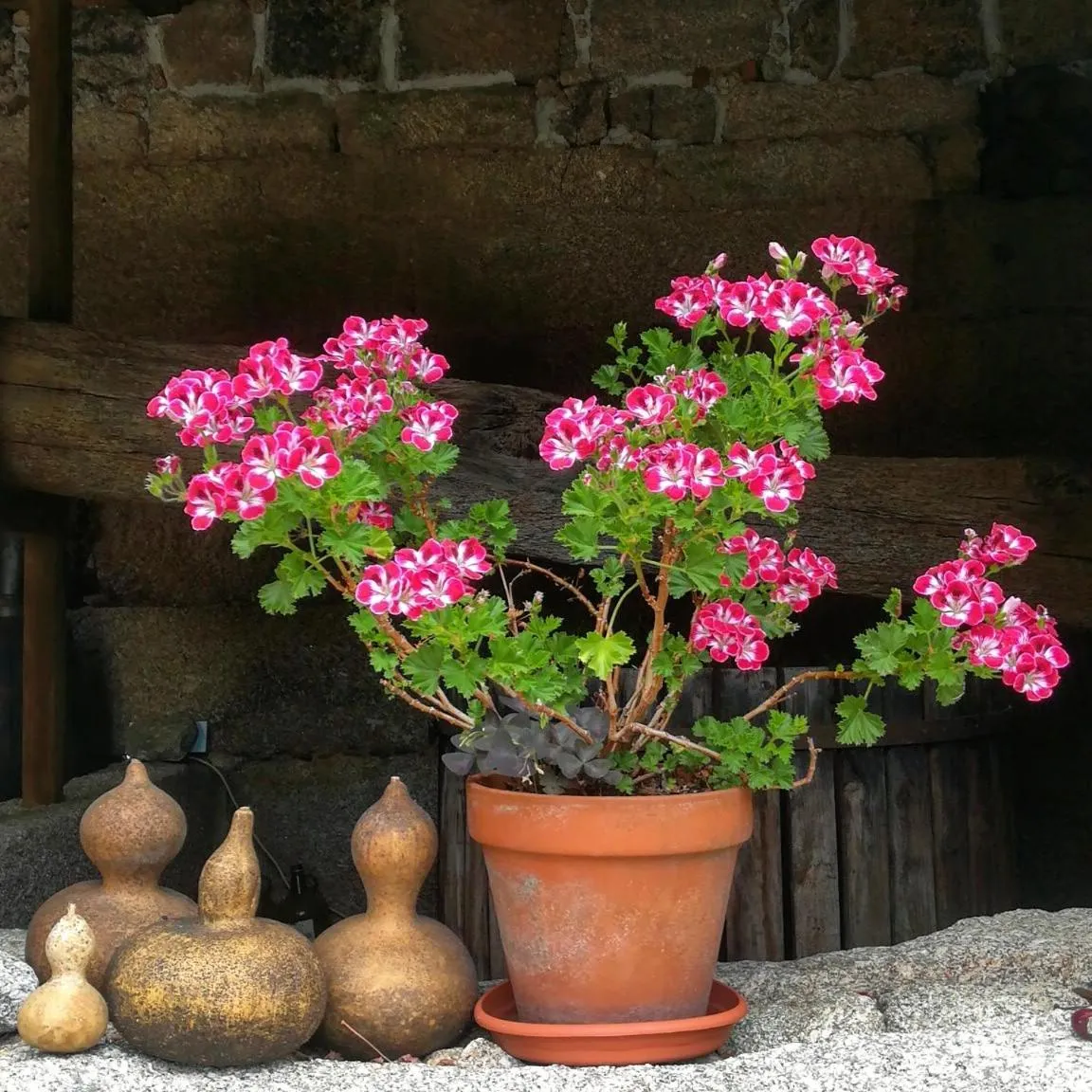 Spring in Casa do Fundo - Sustainable & Ecotourism