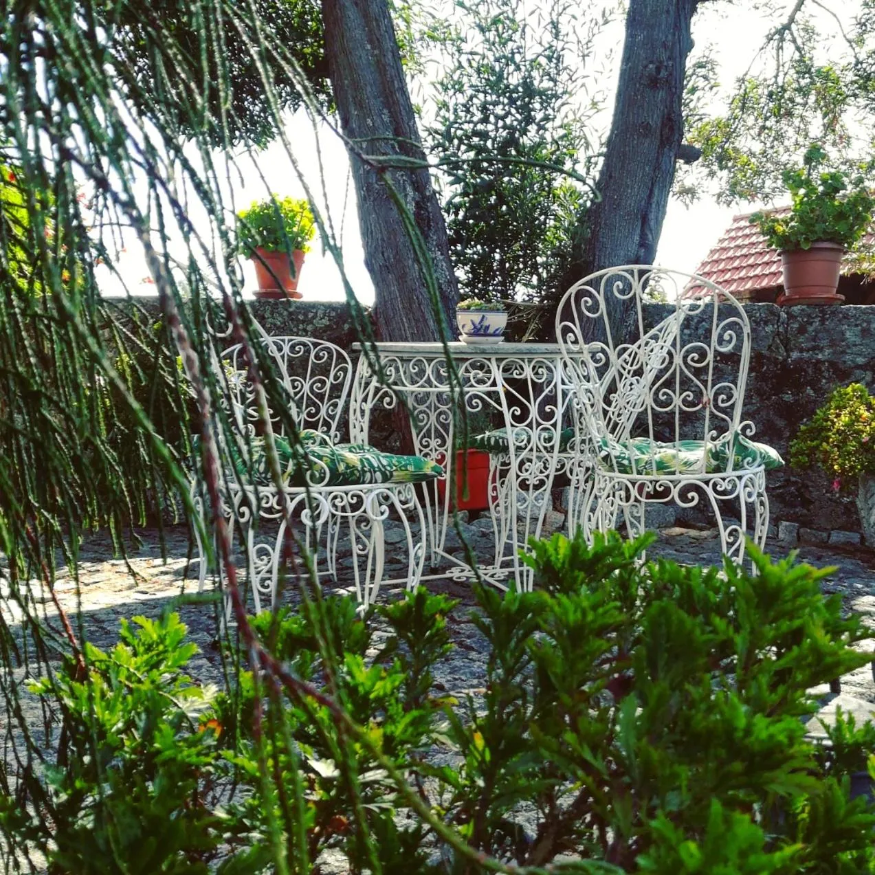 Spring in Casa do Fundo - Sustainable & Ecotourism