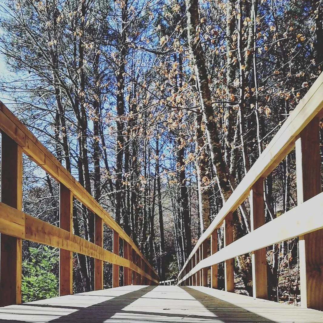 Natural landscape in Casa do Fundo - Sustainable & Ecotourism