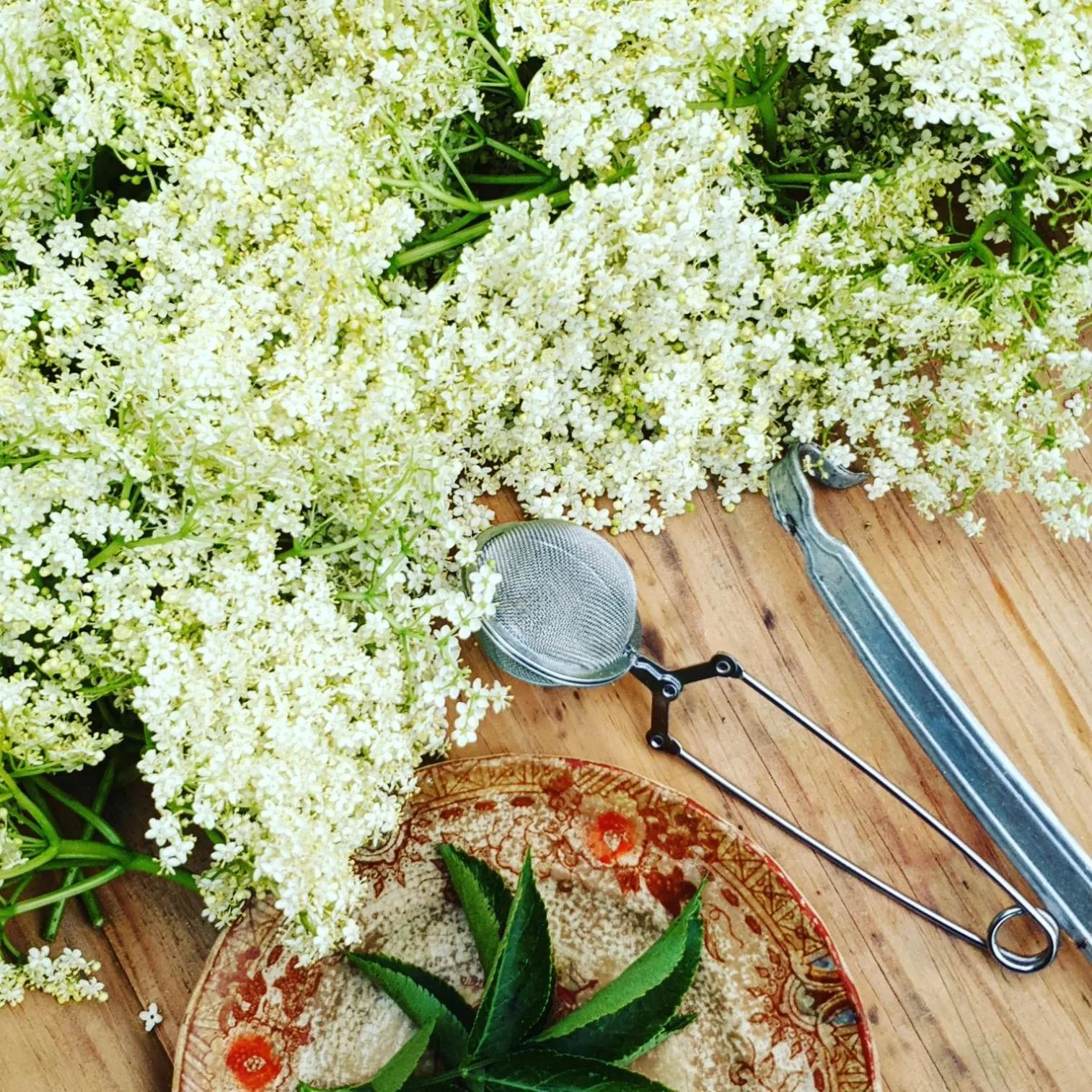 Spring in Casa do Fundo - Sustainable & Ecotourism