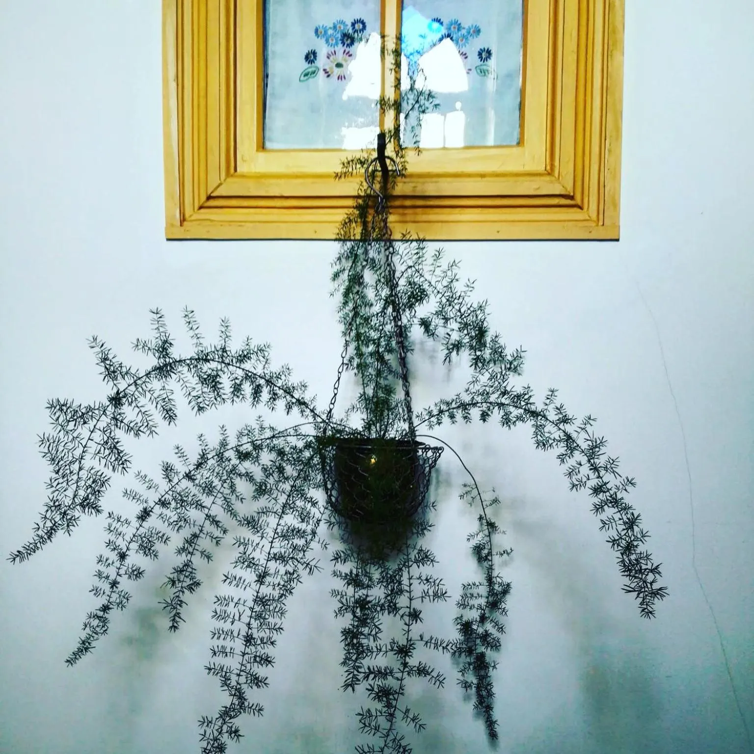 Decorative detail in Casa do Fundo - Sustainable & Ecotourism