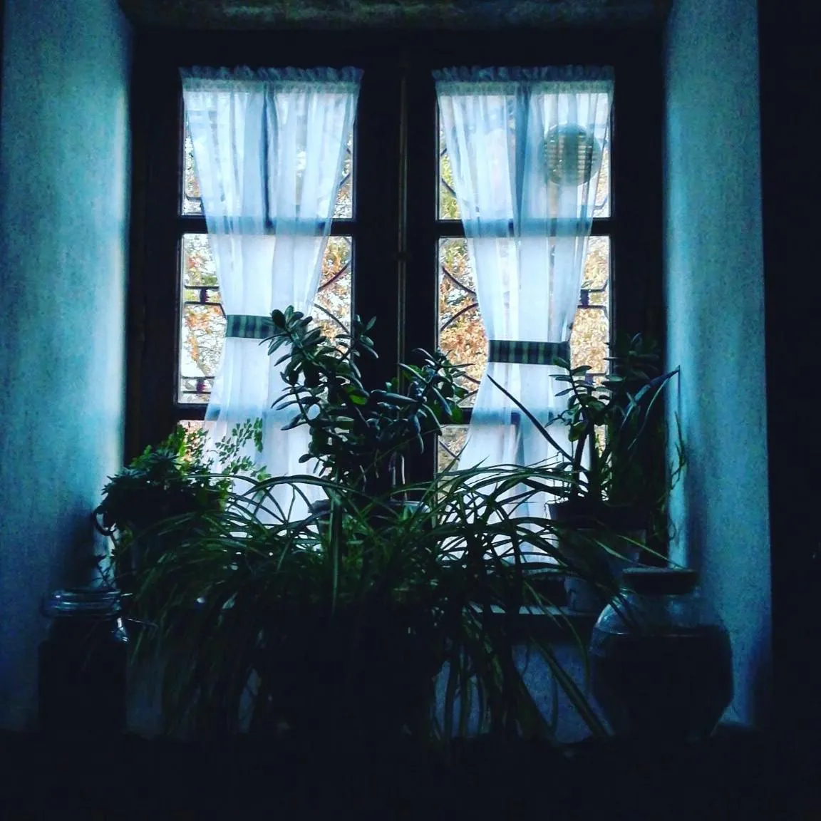 Casa do Fundo - Sustainable & Ecotourism