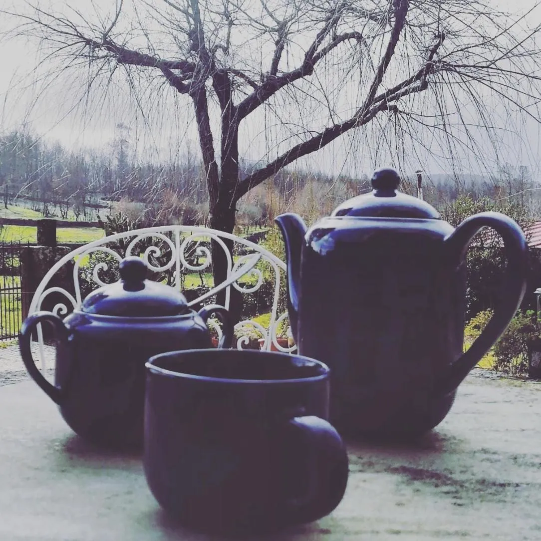 Garden in Casa do Fundo - Sustainable & Ecotourism