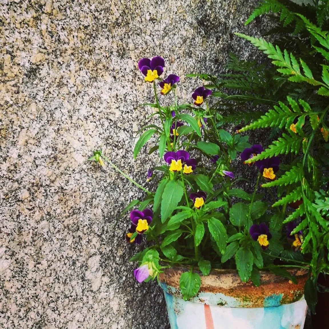 Spring in Casa do Fundo - Sustainable & Ecotourism