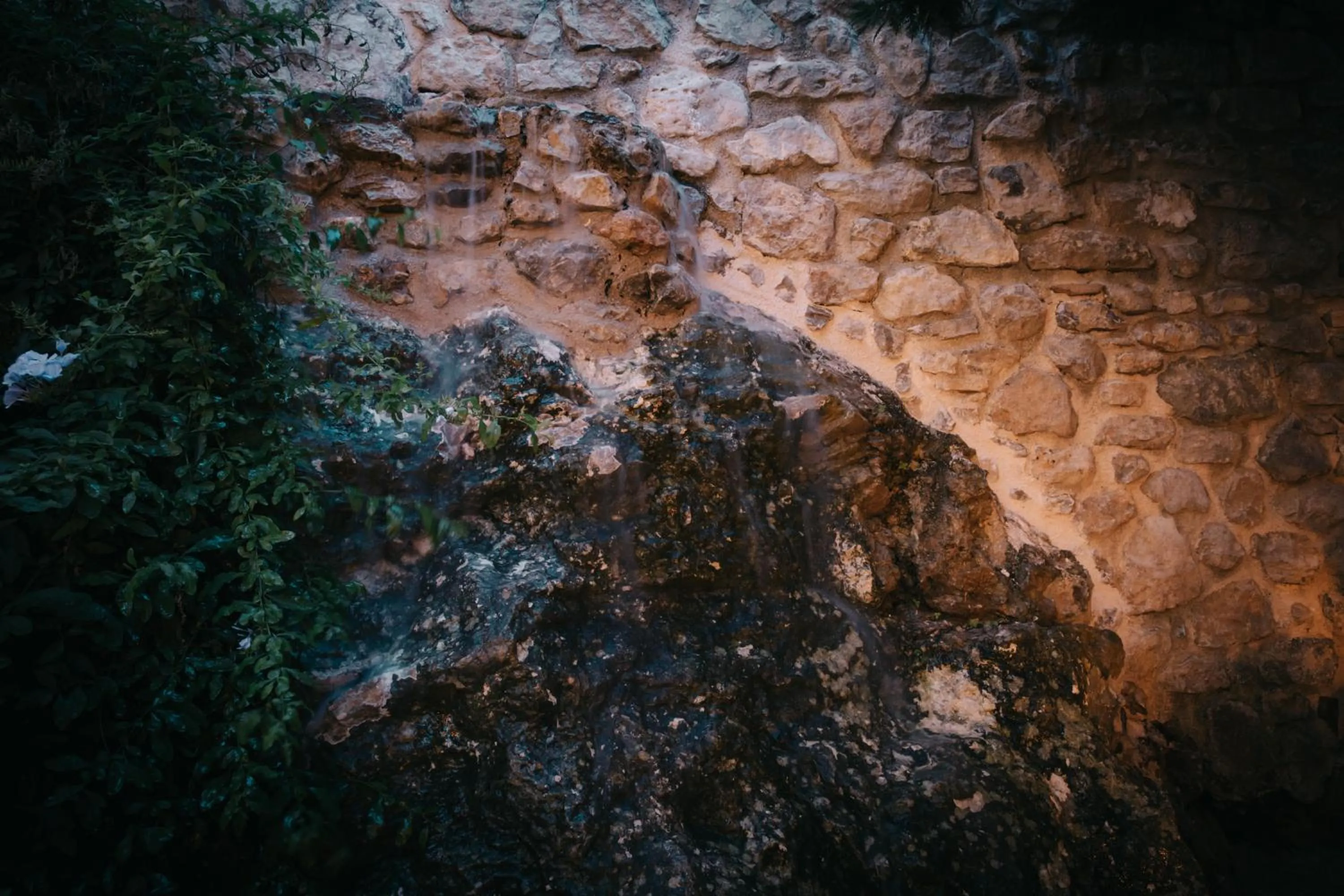 Natural landscape in Rigas Pension Nafplio