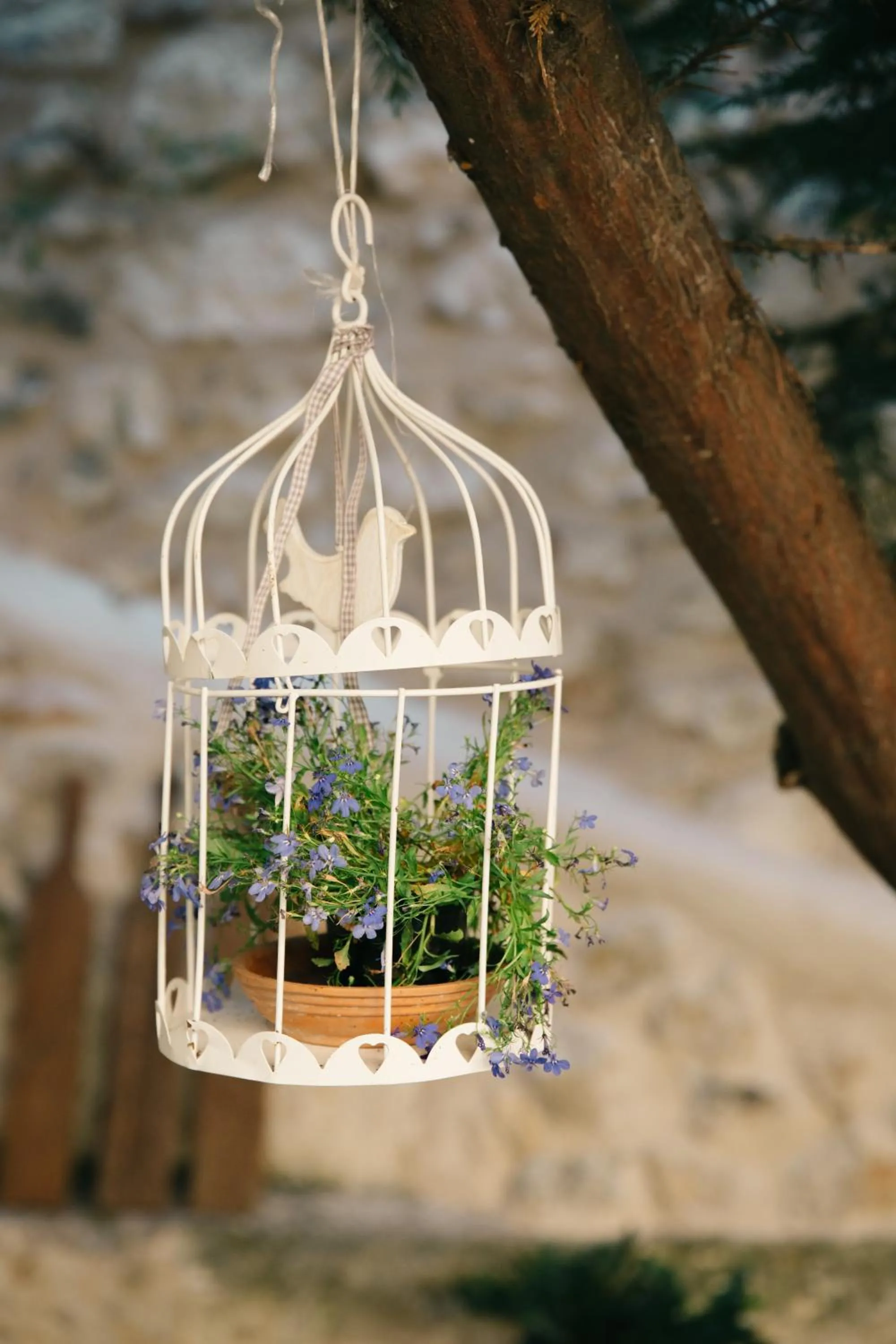 Garden in Rigas Pension Nafplio