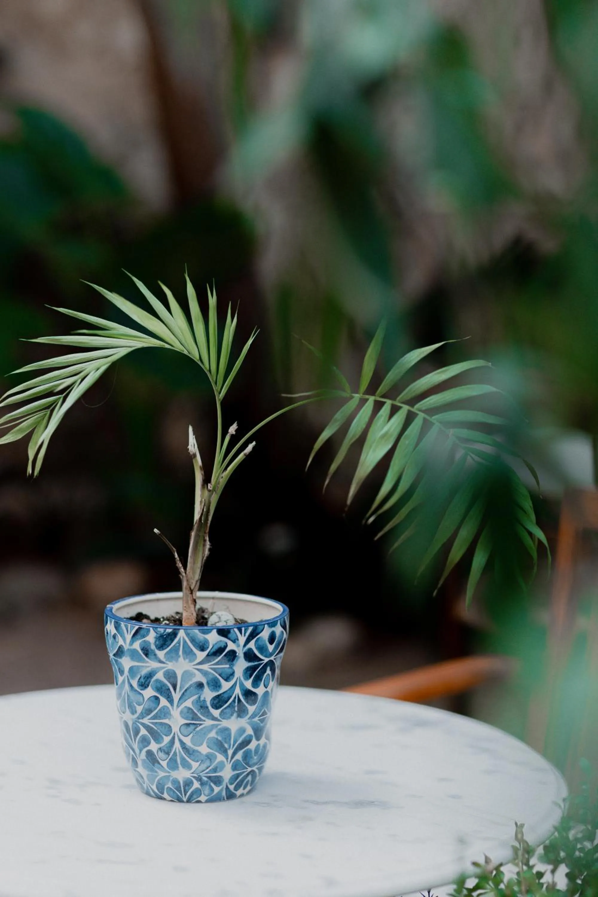 Property building in Rigas Pension Nafplio