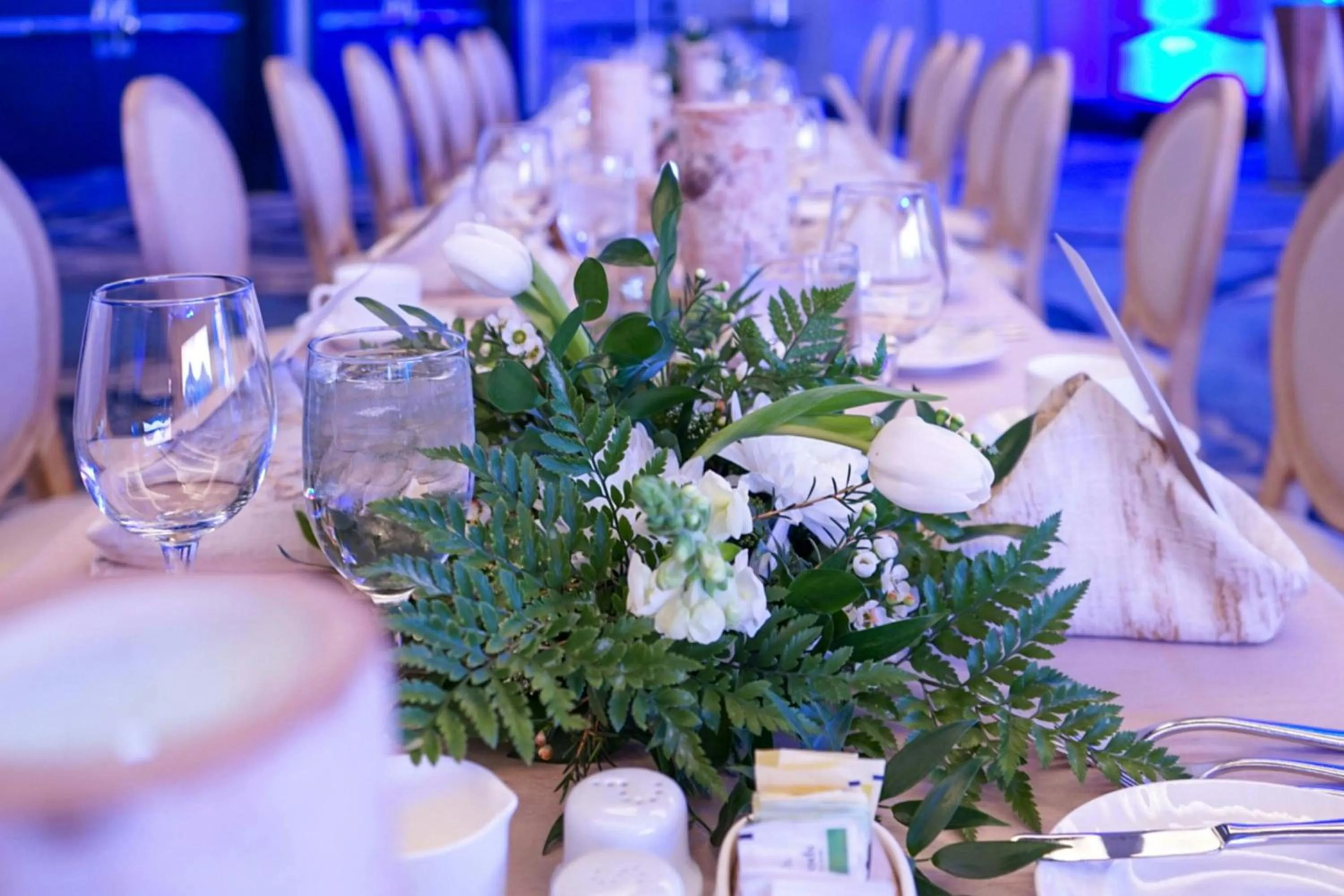 Meeting/conference room in Gaylord Rockies Resort & Convention Center