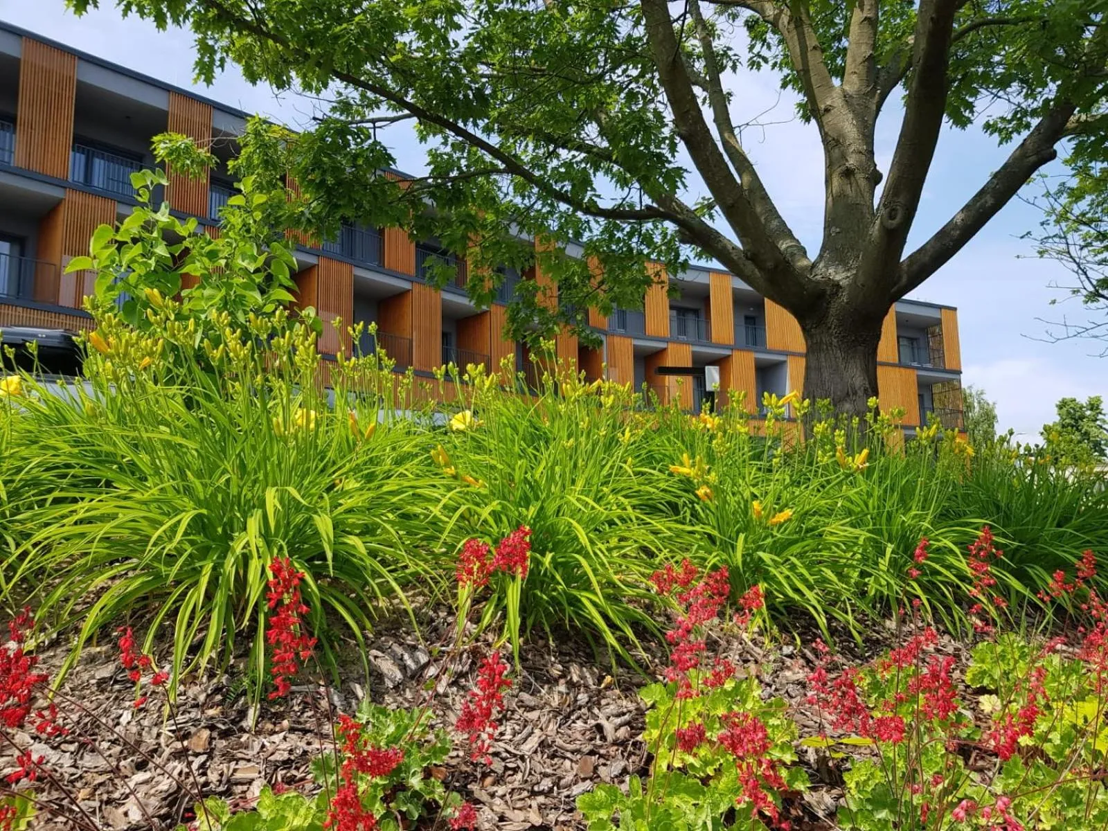 Garden in Notera Hotel SPA