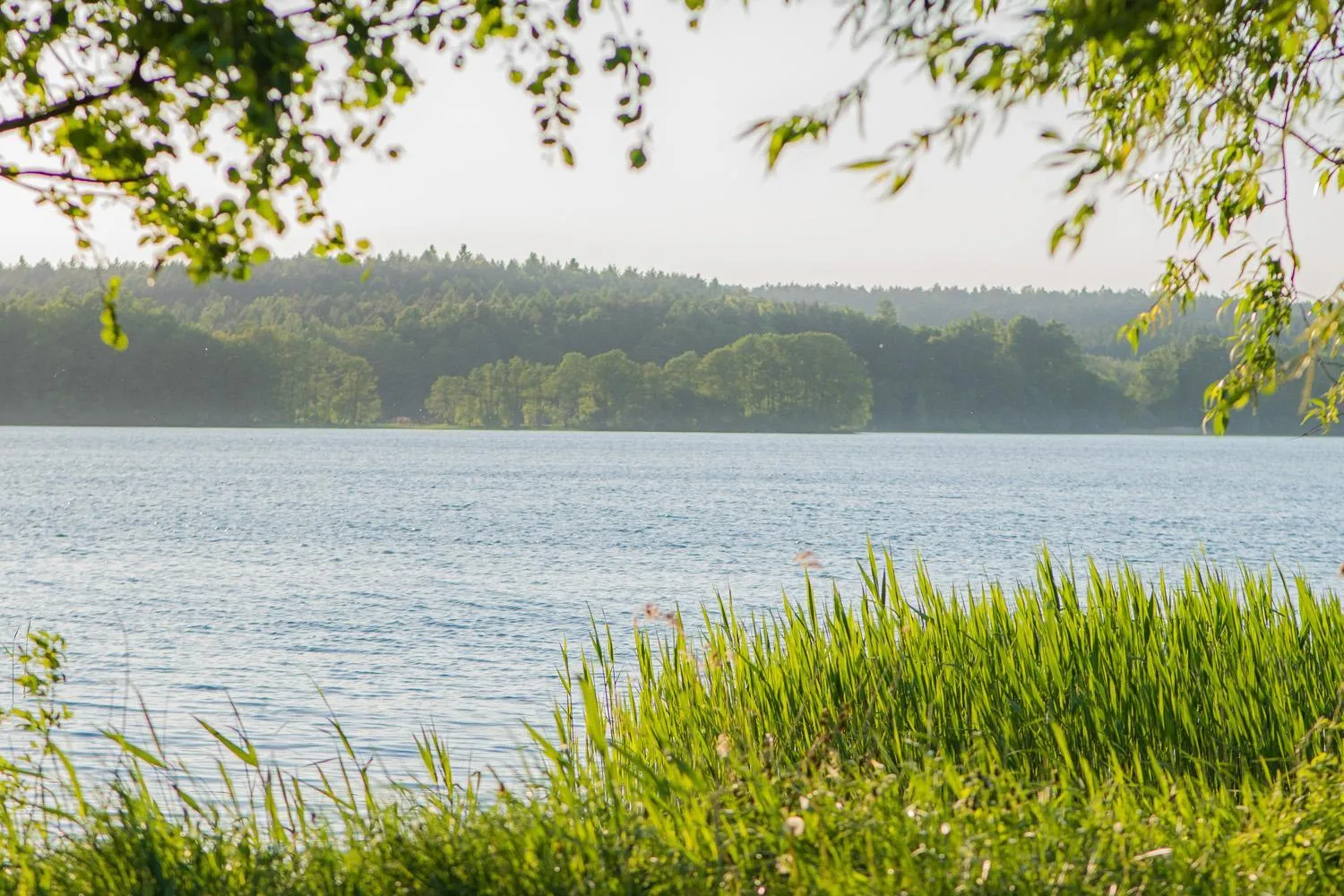 Off site in Notera Hotel SPA