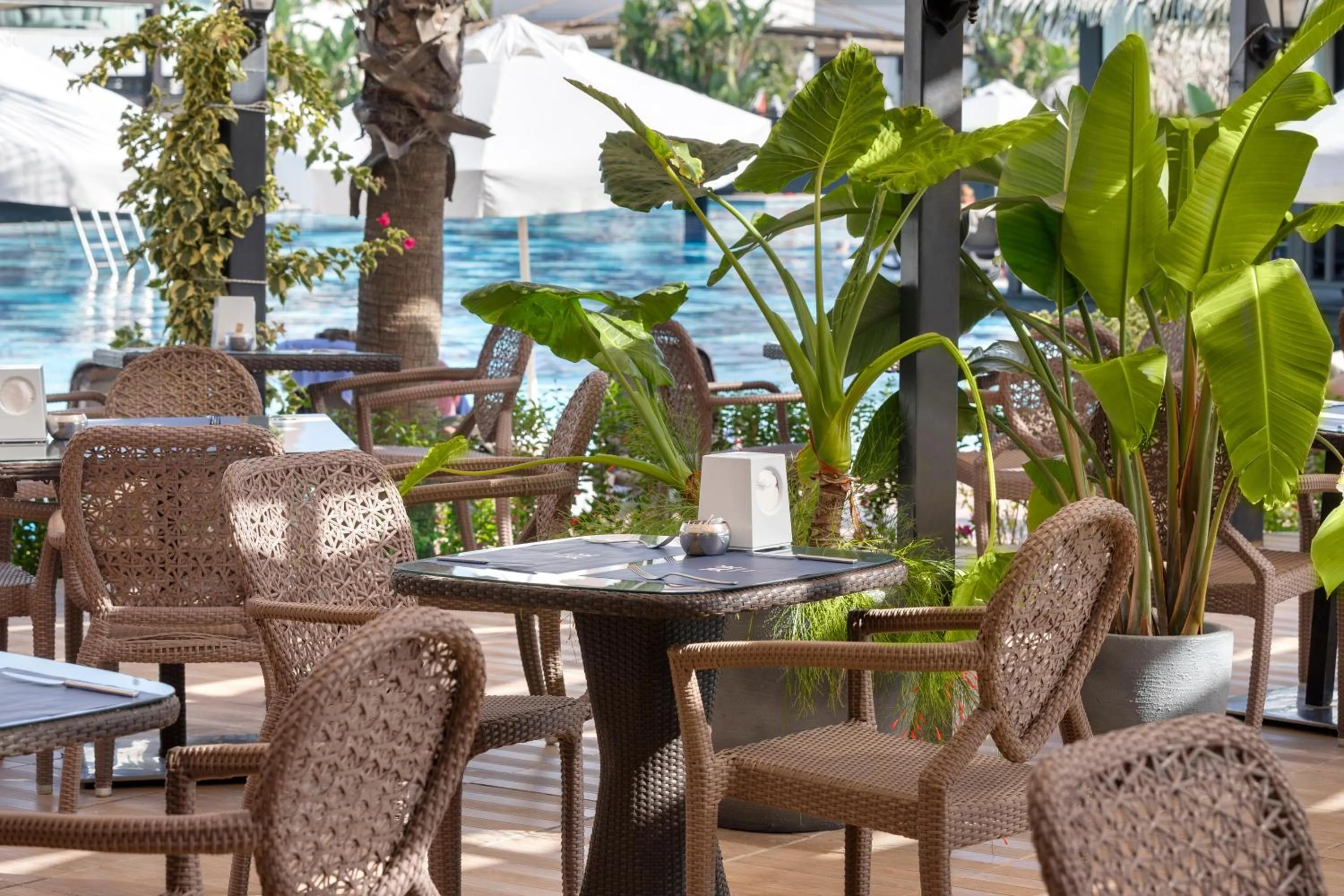 Balcony/Terrace in Sherwood Blue Belek - Adults Only